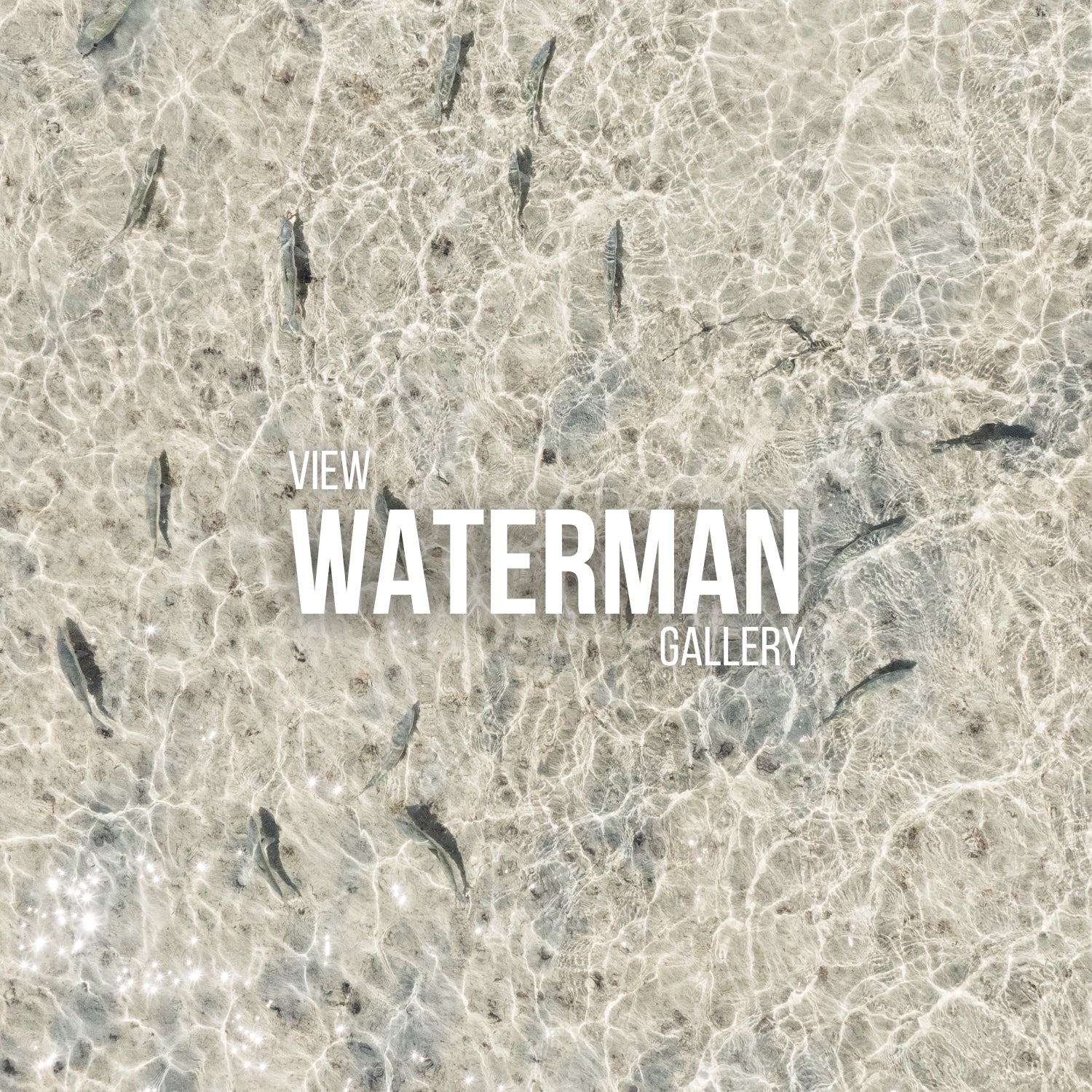 Best Gifts for Anglers in 2025: Why Fishing Art is the Way to Go