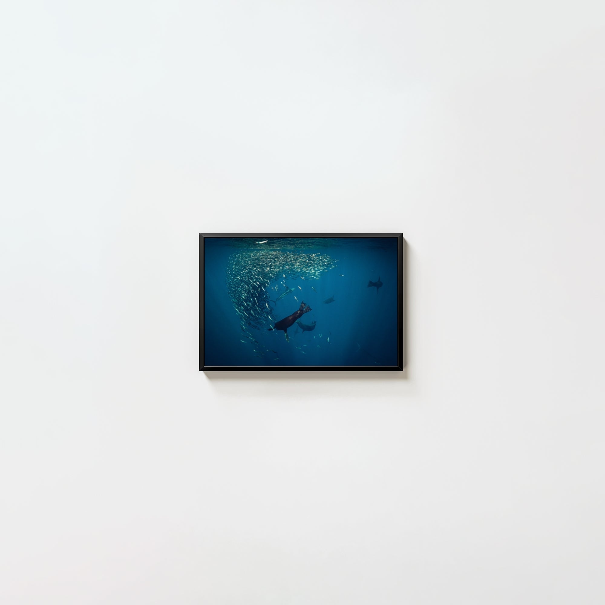 Mag Bay Tango: The Lion & The Spear