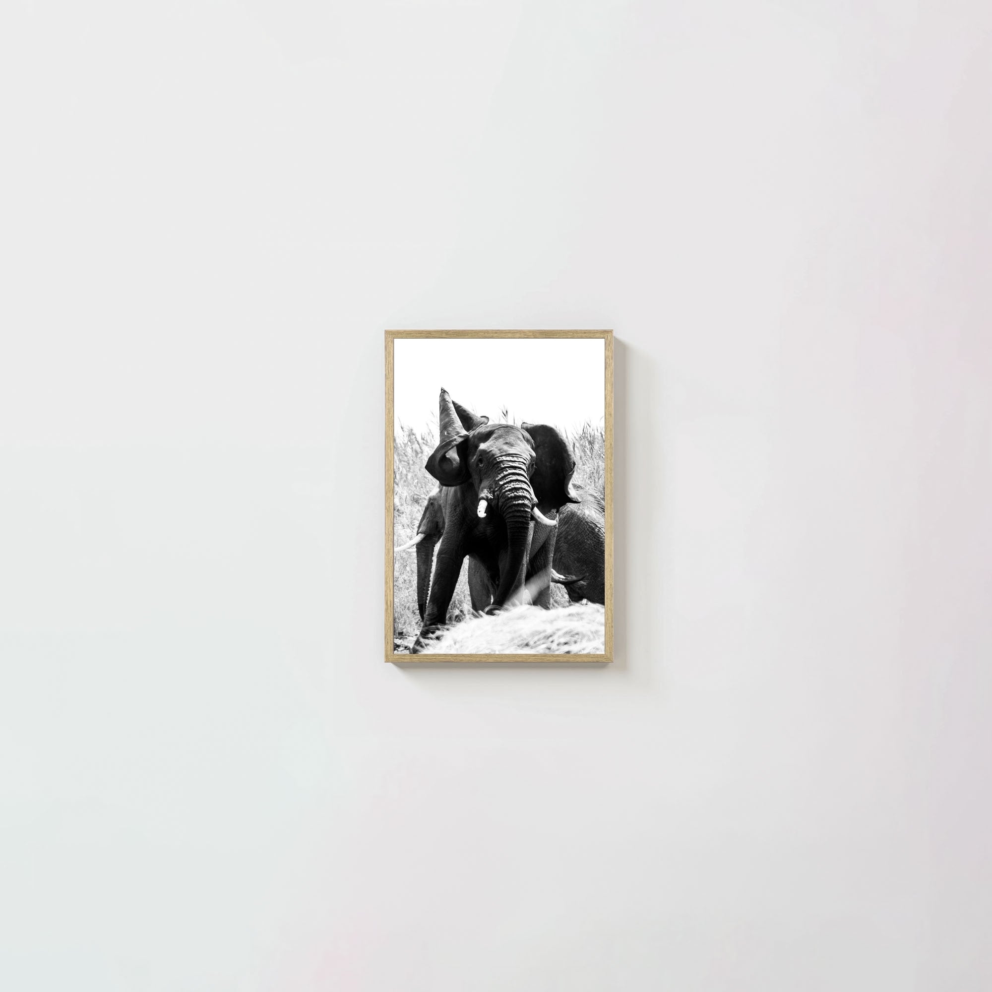 Tembo