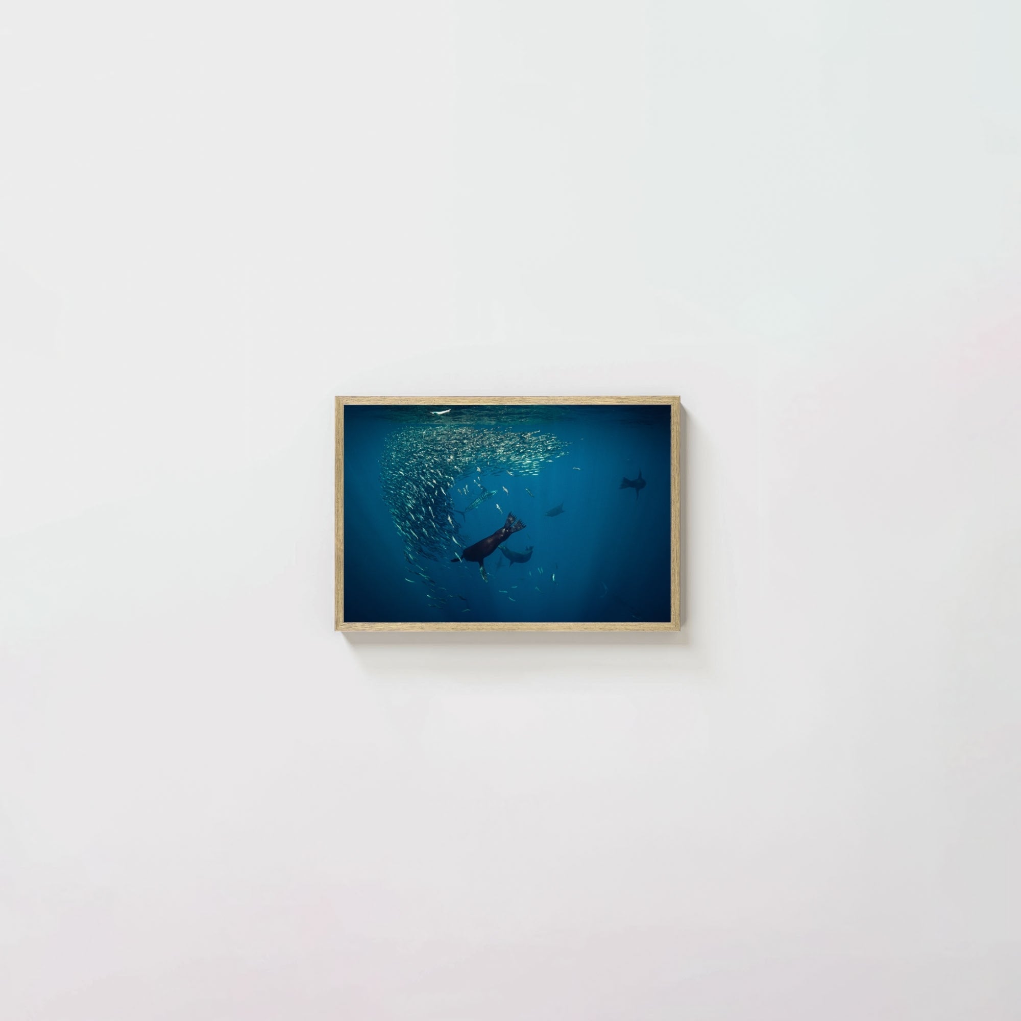 Mag Bay Tango: The Lion & The Spear