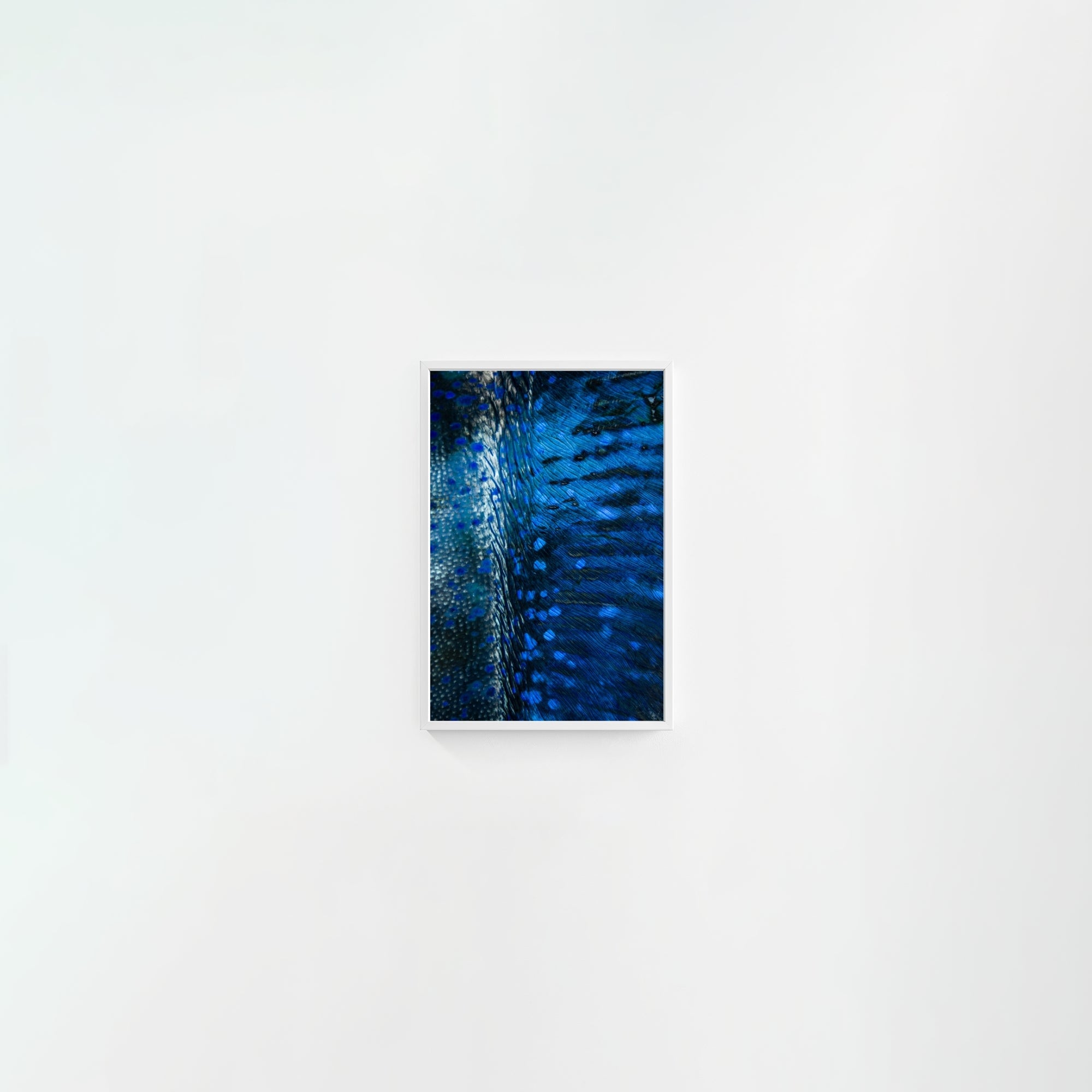 Blue Cloak
