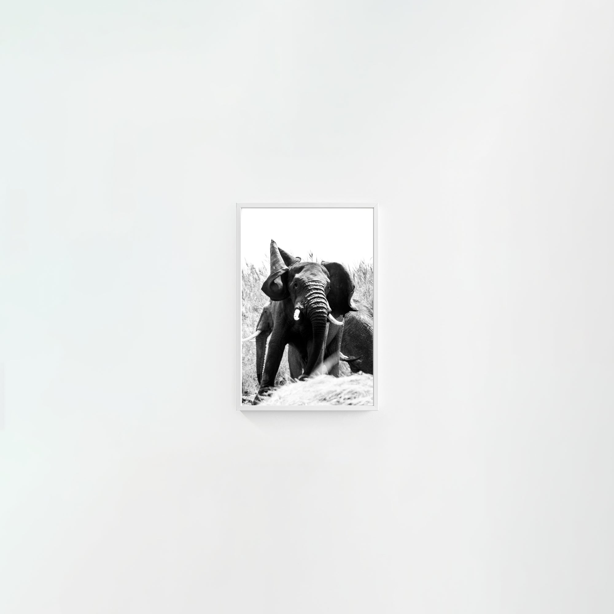 Tembo