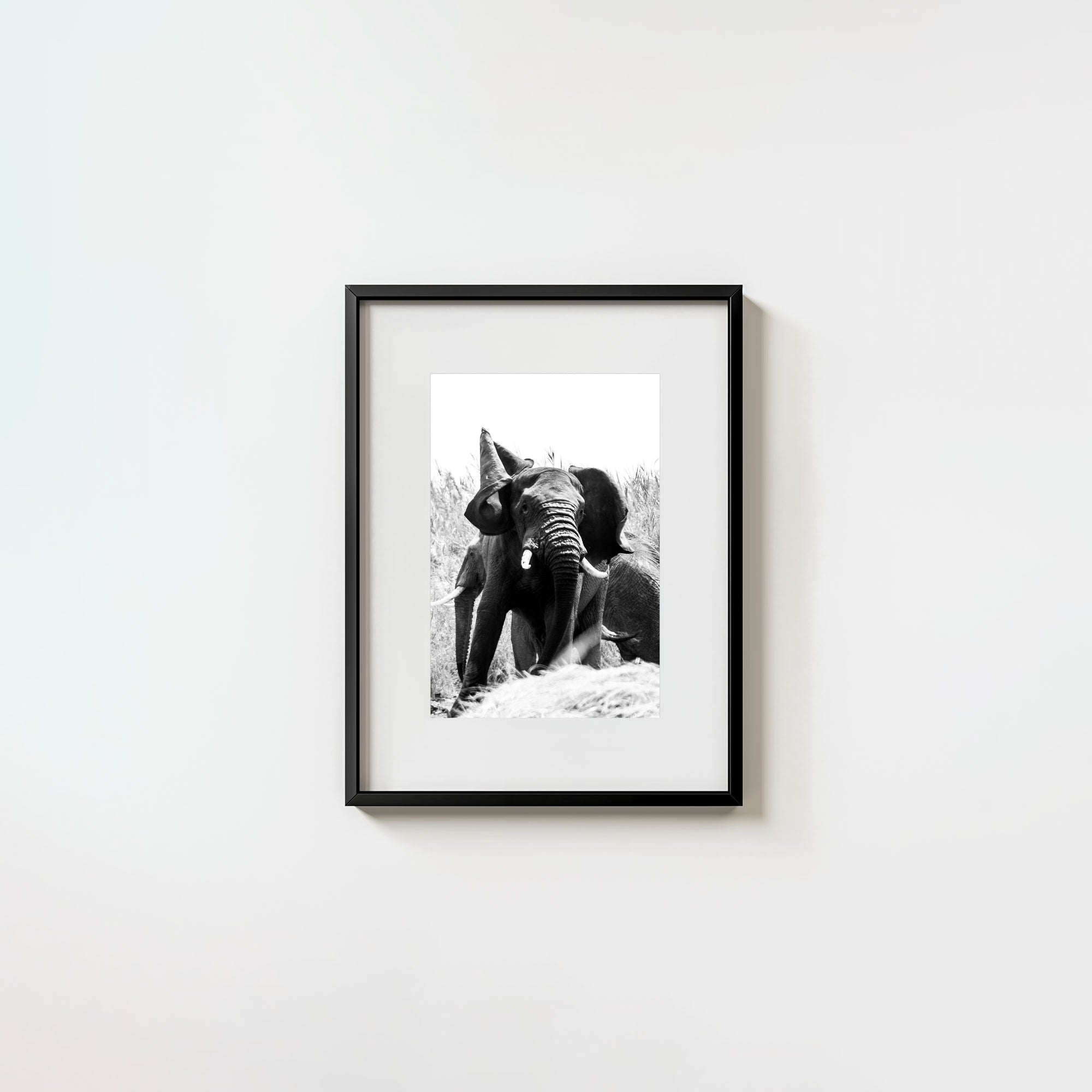 Tembo