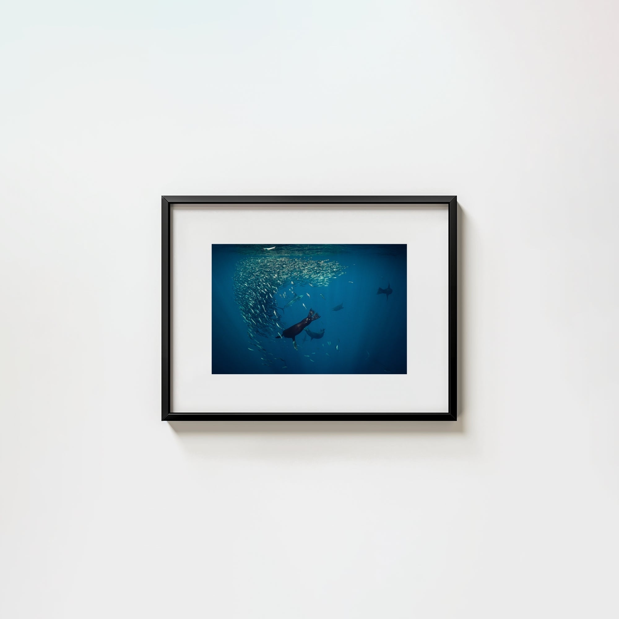 Mag Bay Tango: The Lion & The Spear