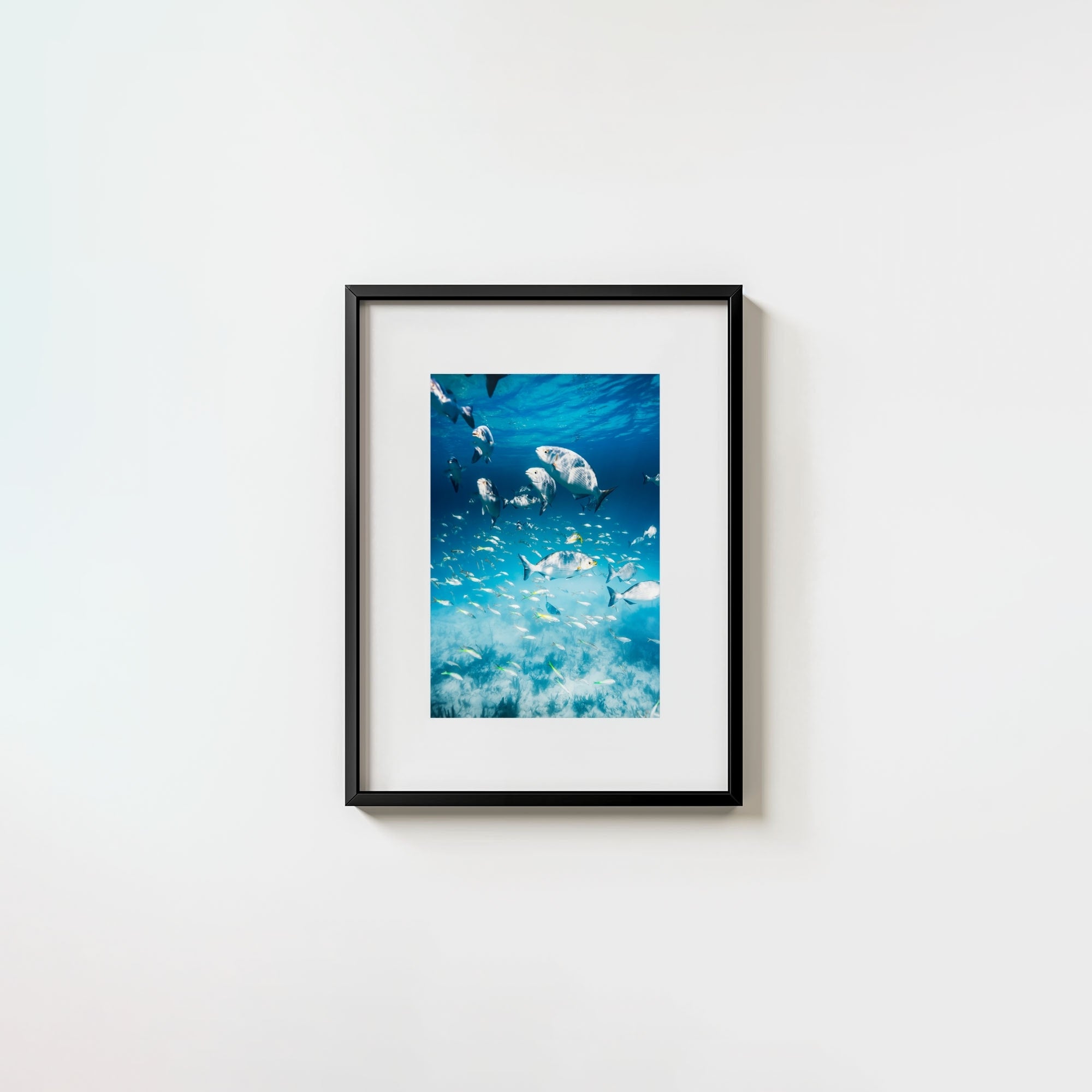 Colorful Current