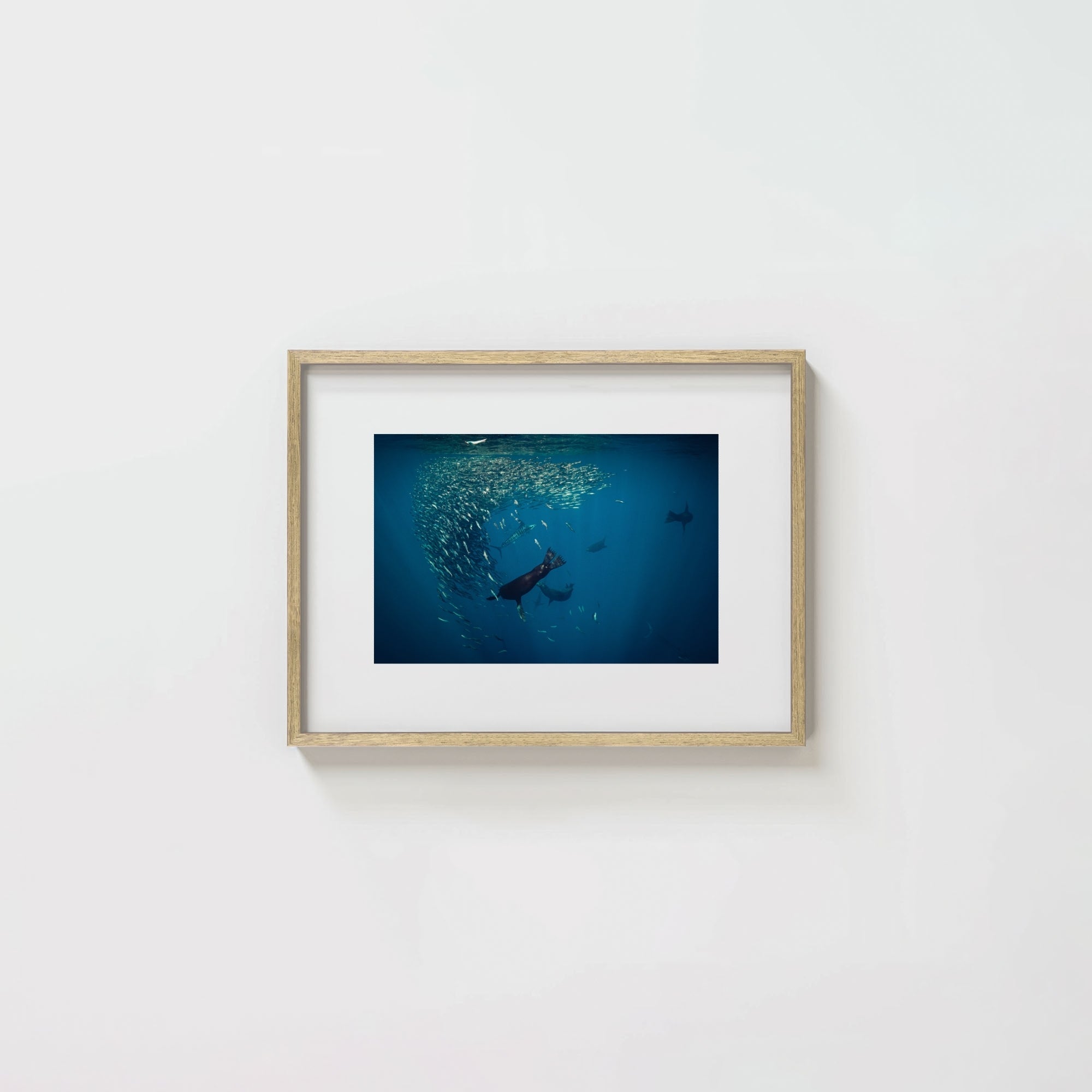 Mag Bay Tango: The Lion & The Spear