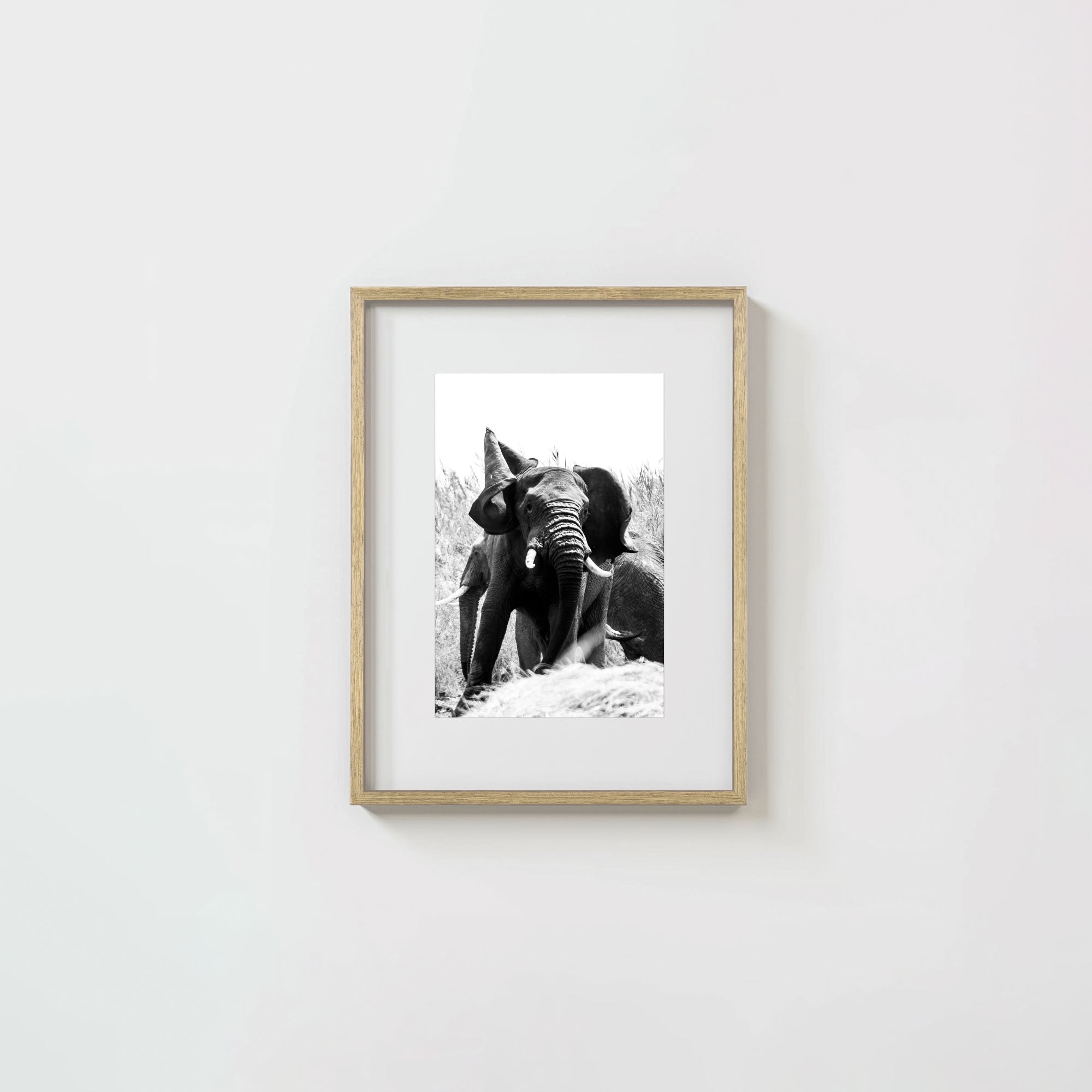 Tembo