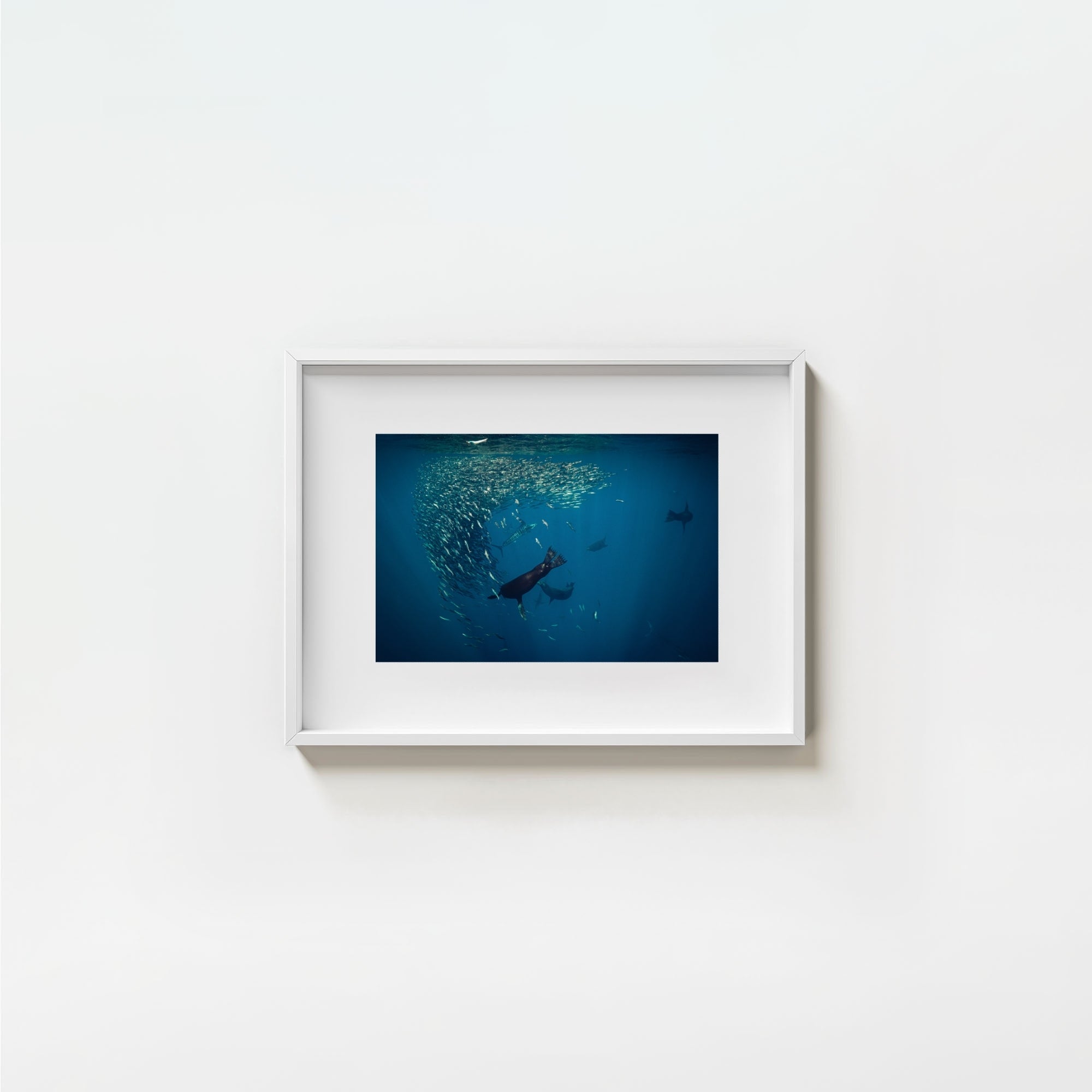 Mag Bay Tango: The Lion & The Spear