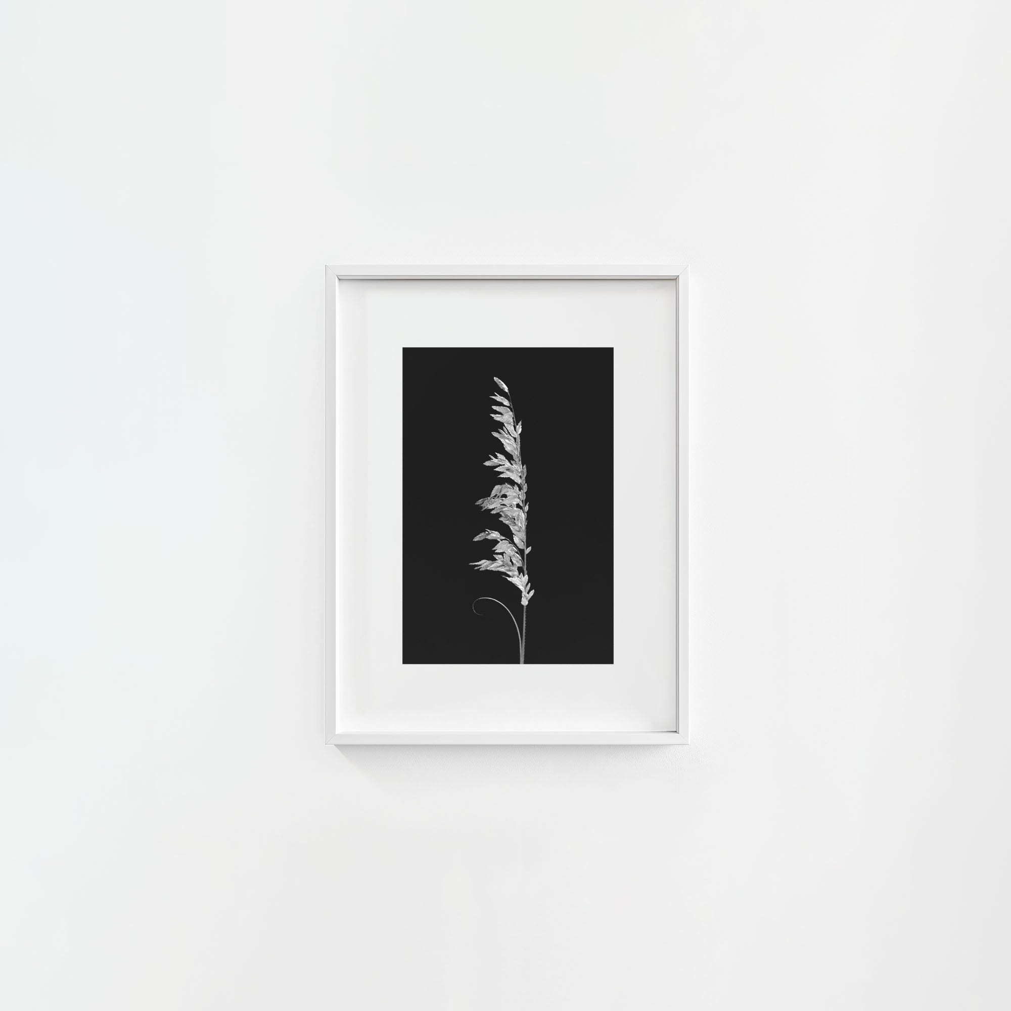 Wild Grain