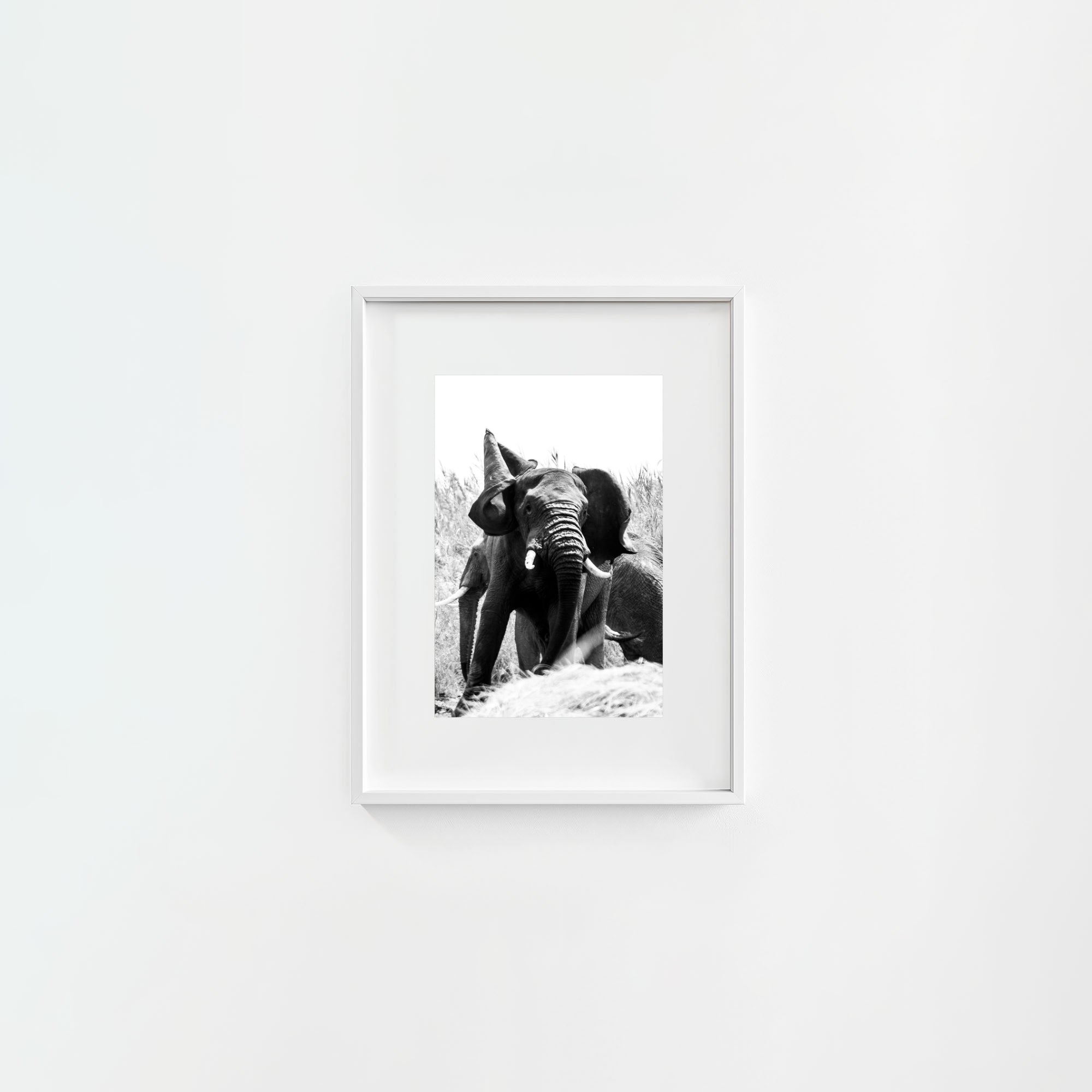 Tembo