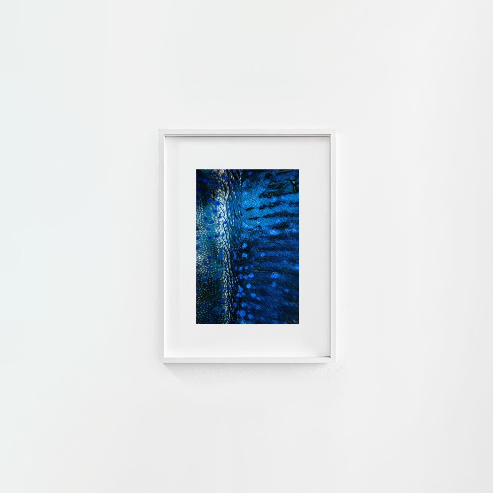 Blue Cloak