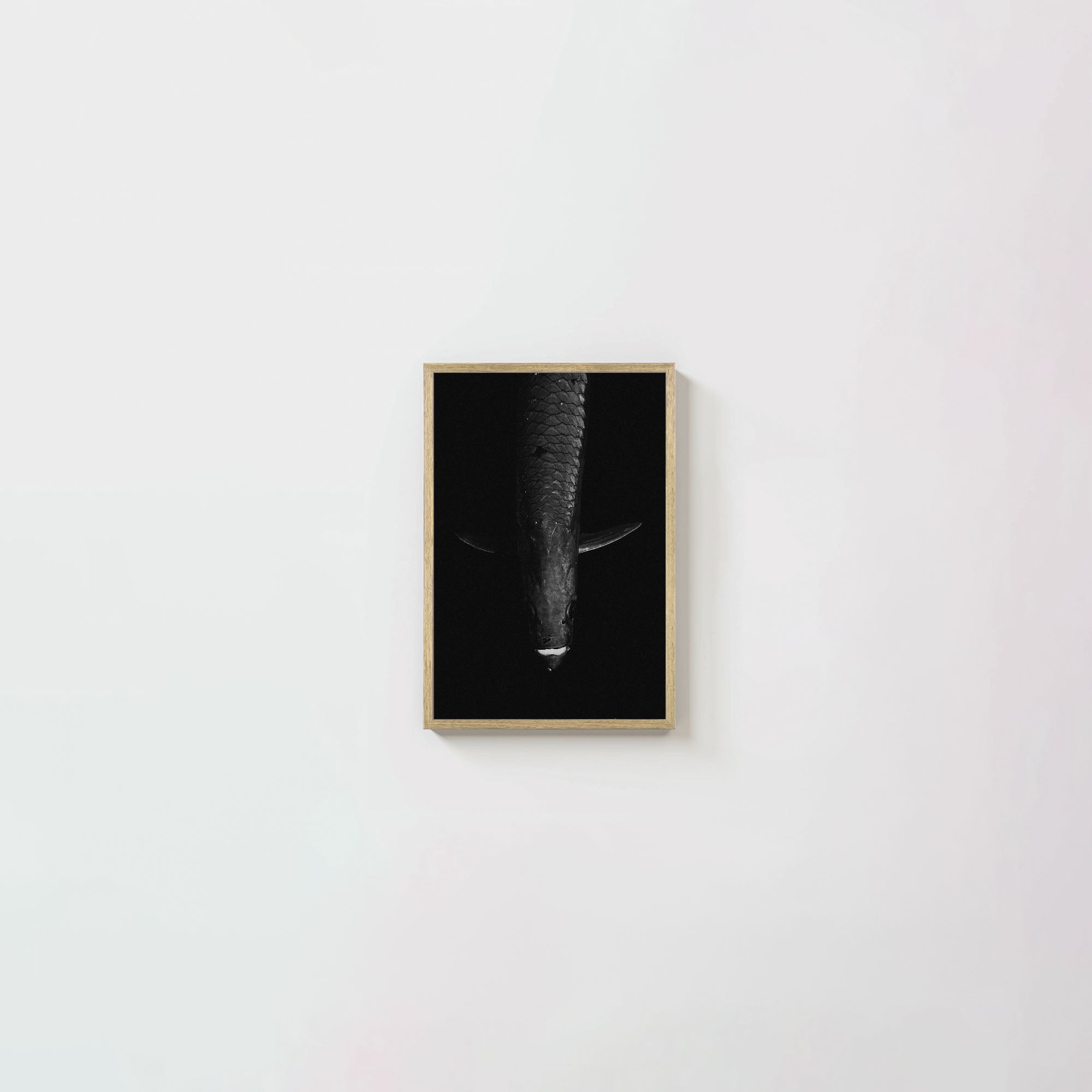 Tarpon: 'Dark Side Of The King' (6 Left!)