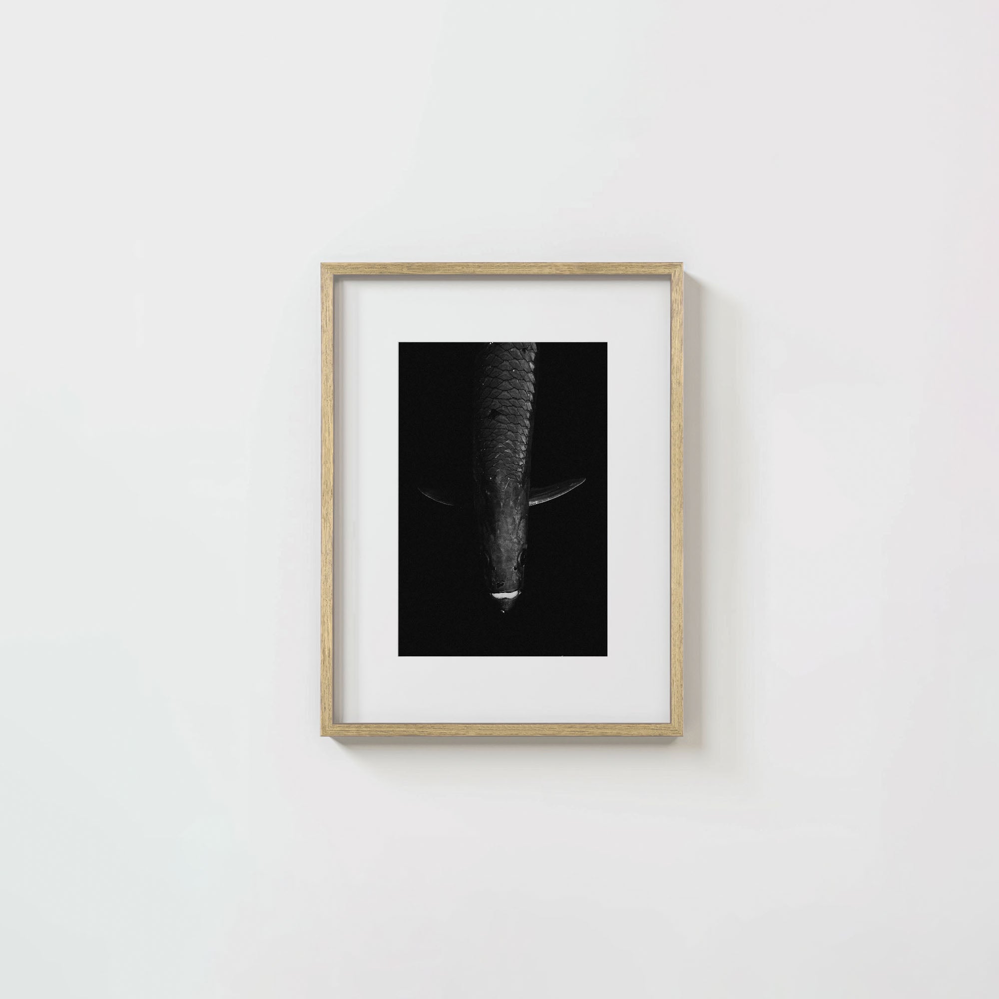 Tarpon: 'Dark Side Of The King' (6 Left!)