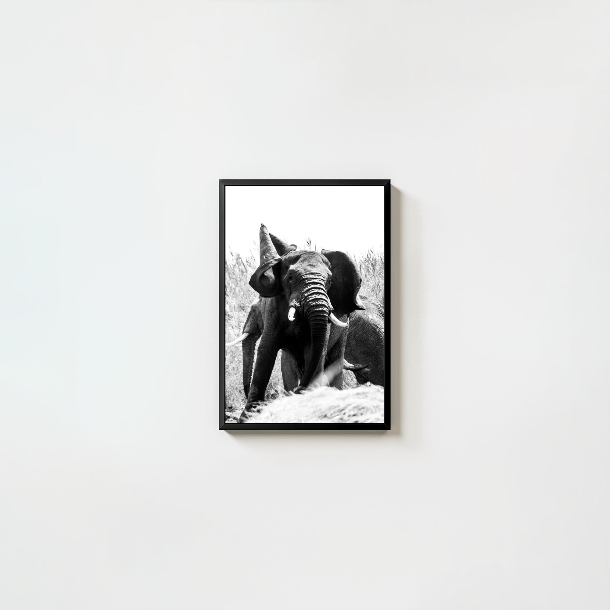 Tembo