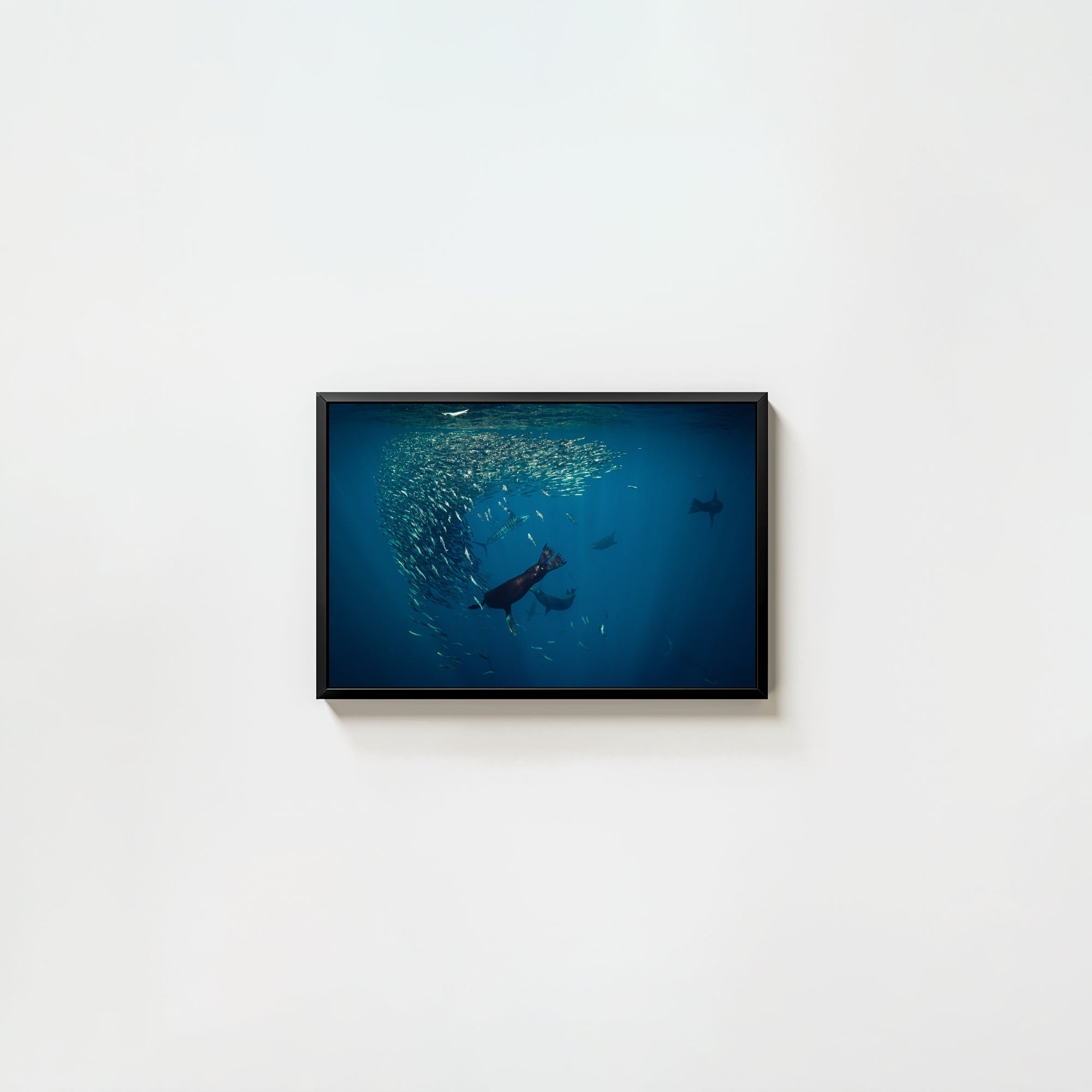 Mag Bay Tango: The Lion & The Spear