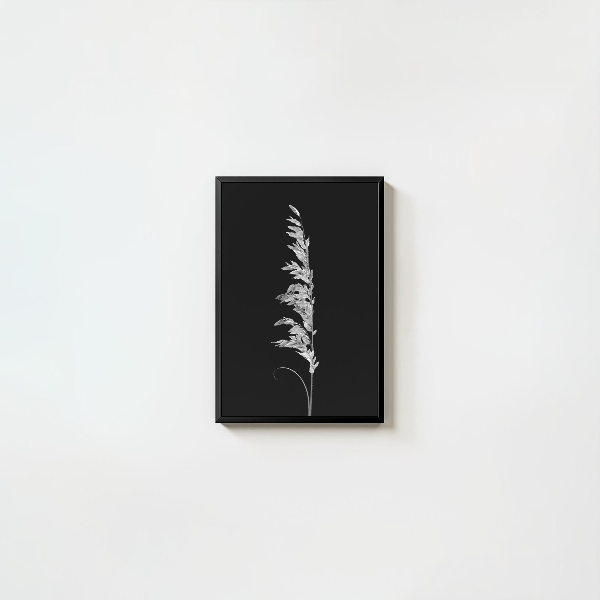 Wild Grain