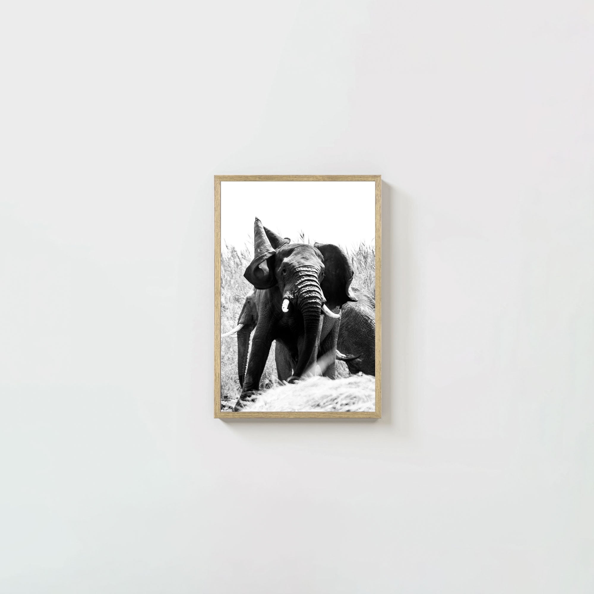 Tembo