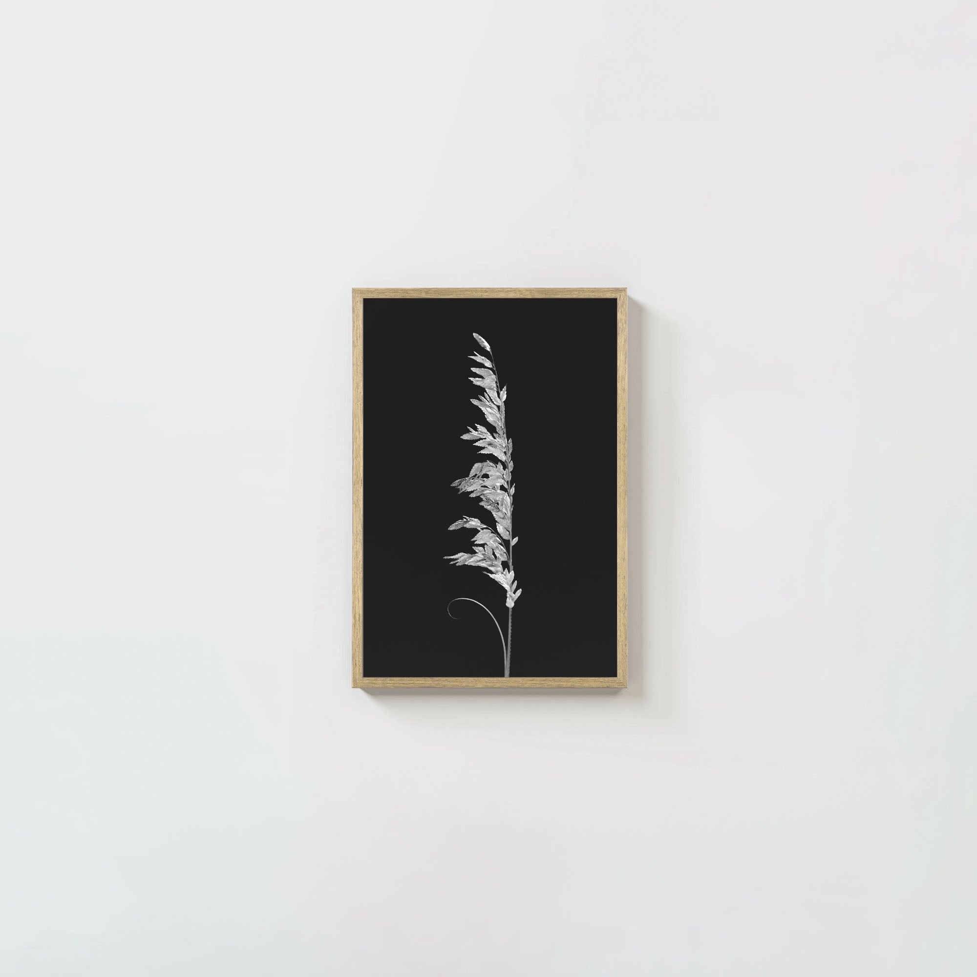 Wild Grain
