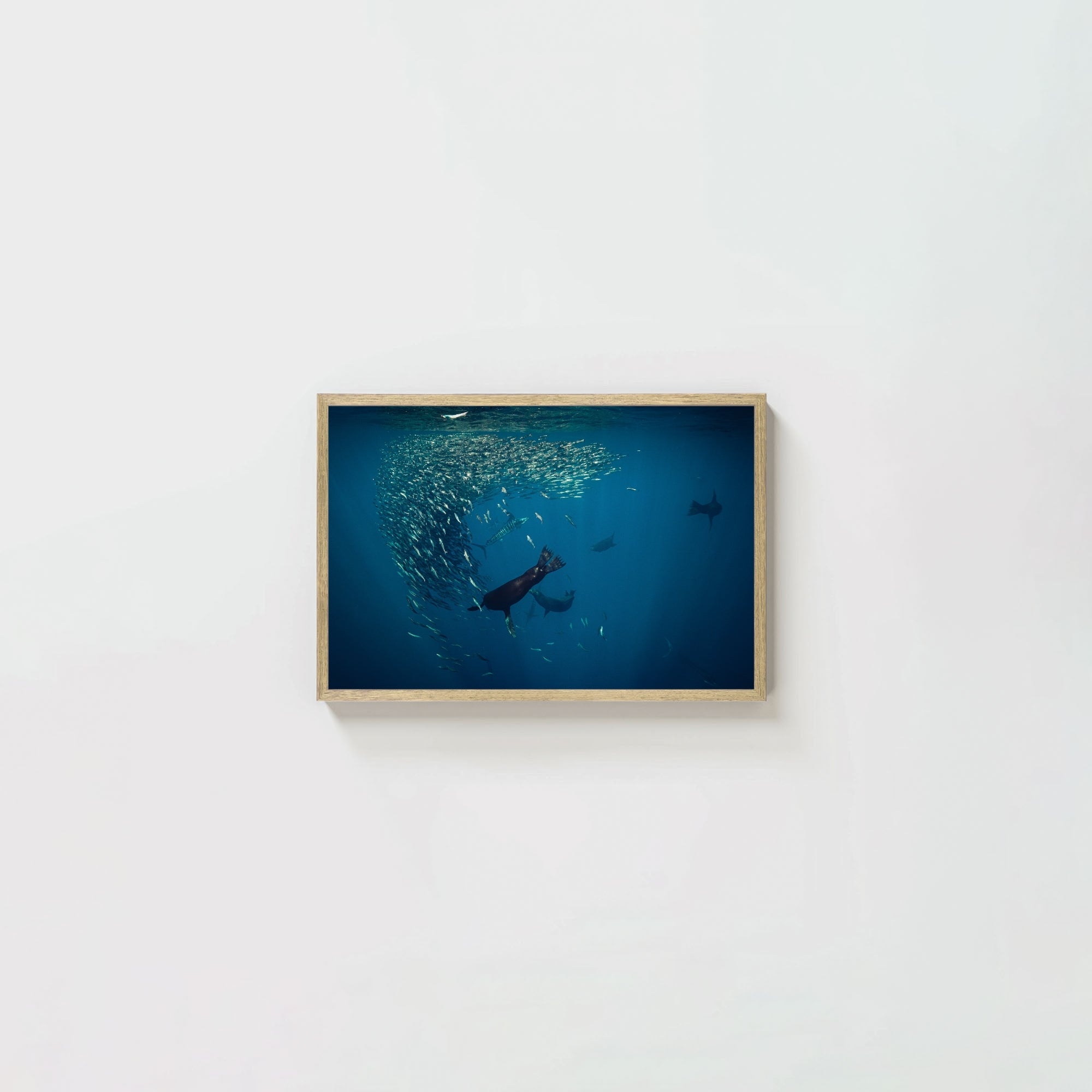 Mag Bay Tango: The Lion & The Spear