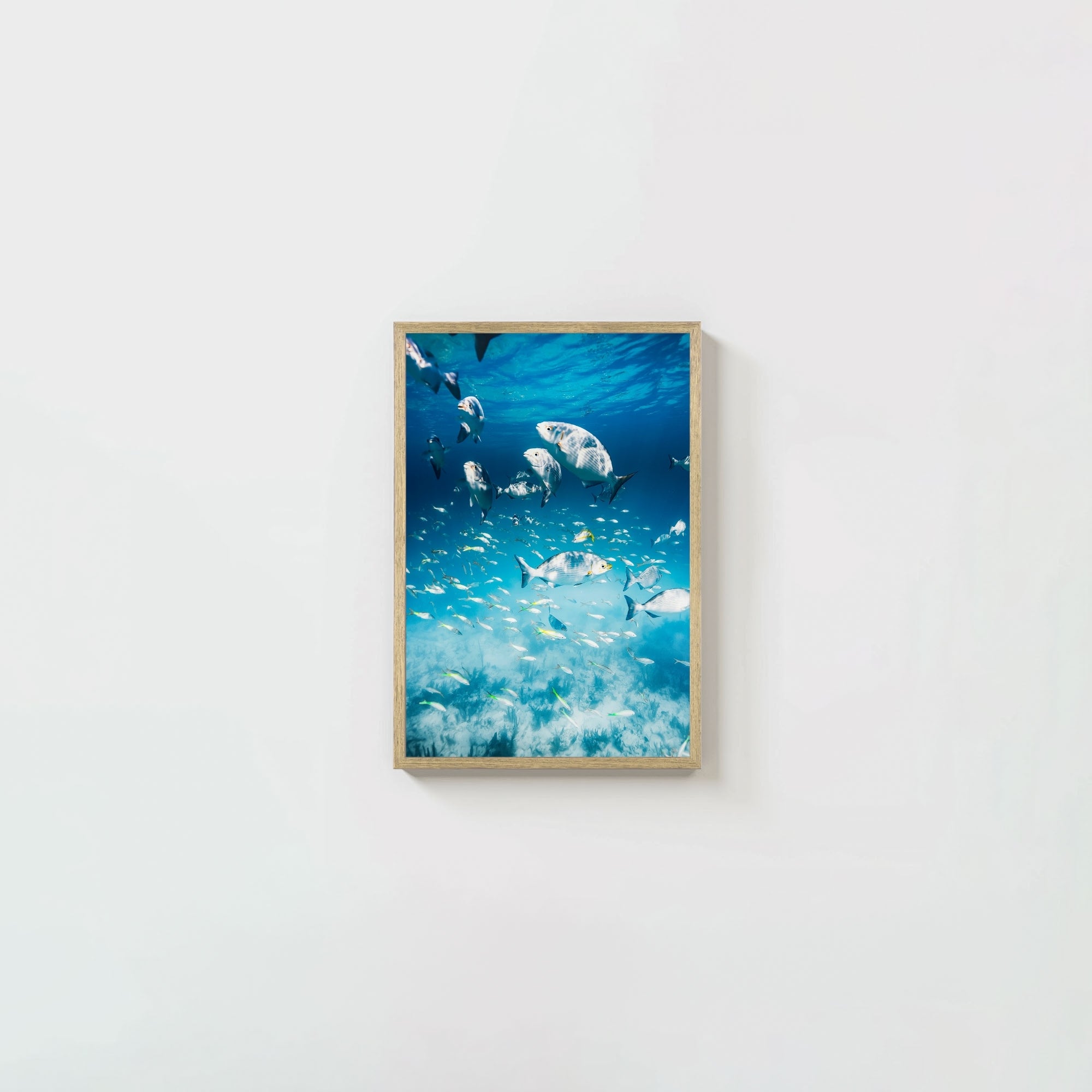 Colorful Current