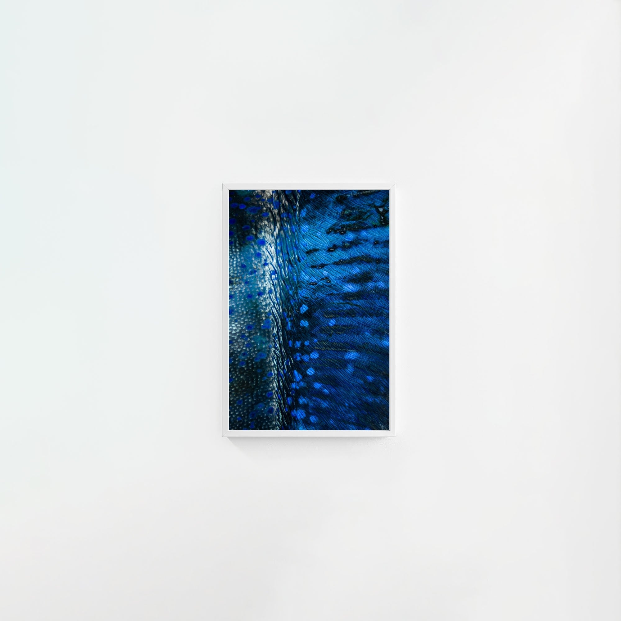 Blue Cloak