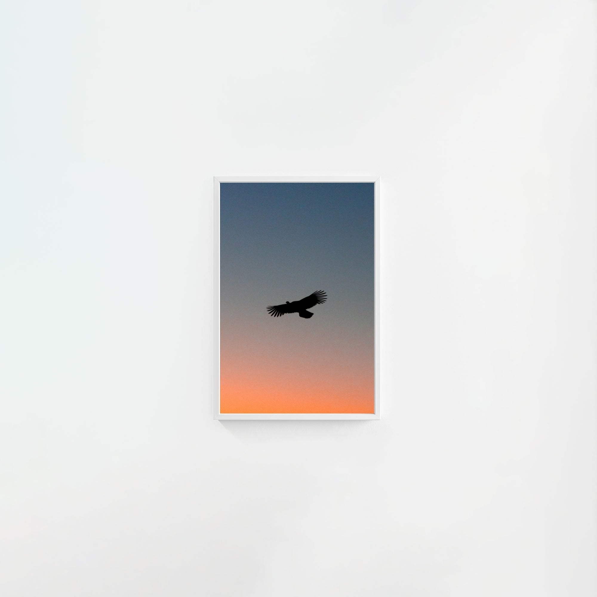 To The Roost