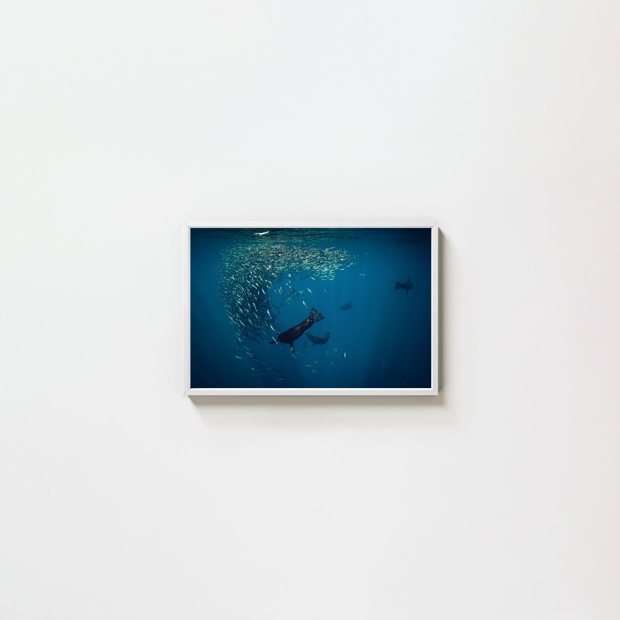 Mag Bay Tango: The Lion & The Spear