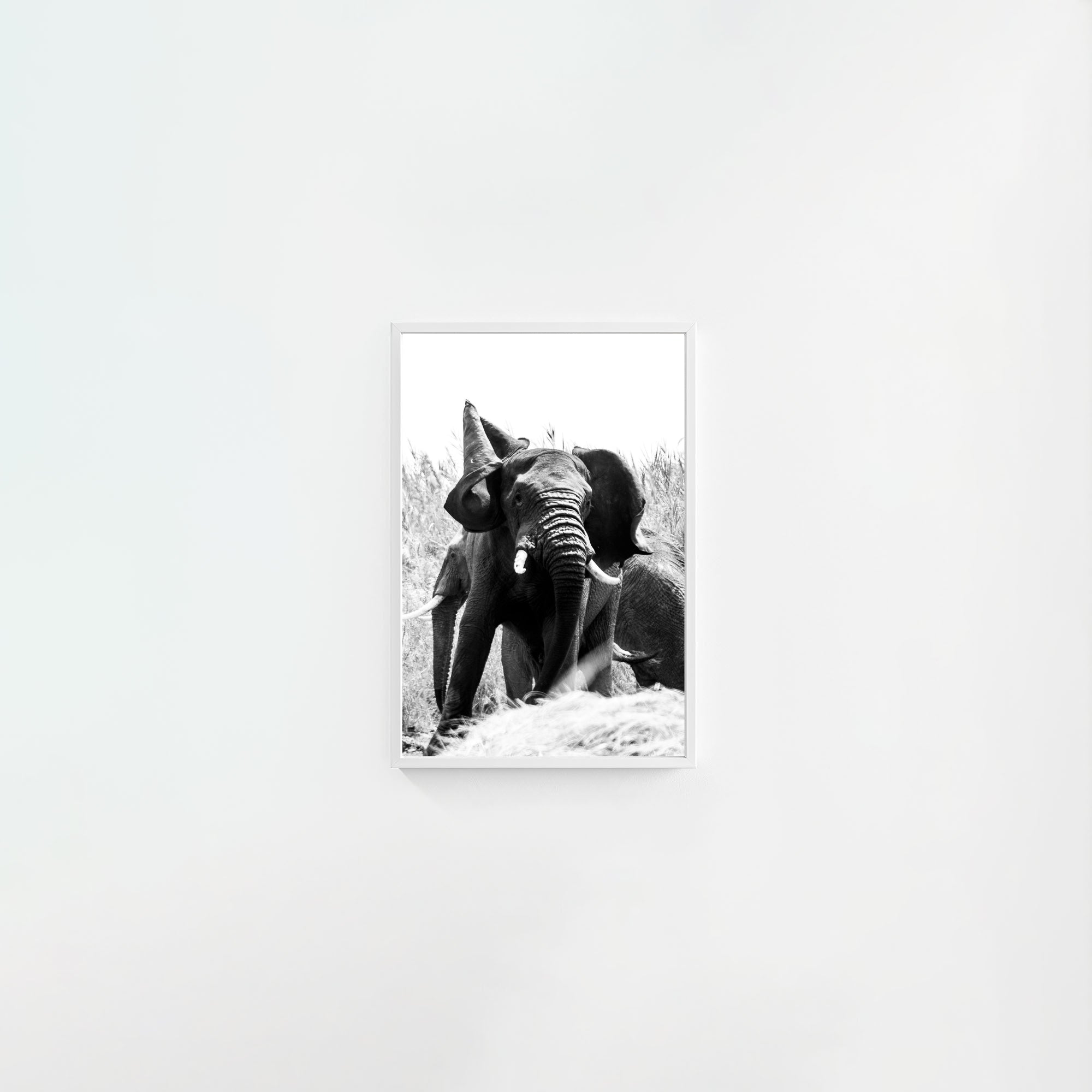 Tembo