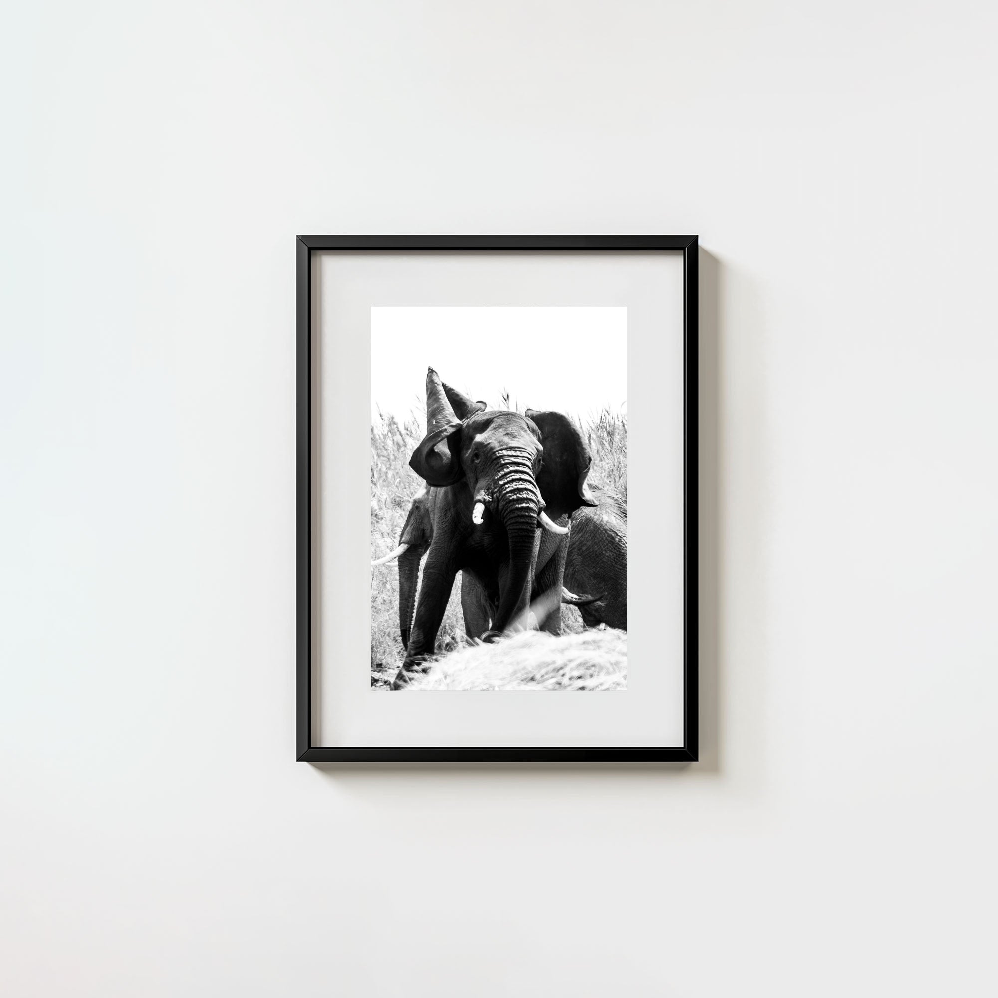 Tembo