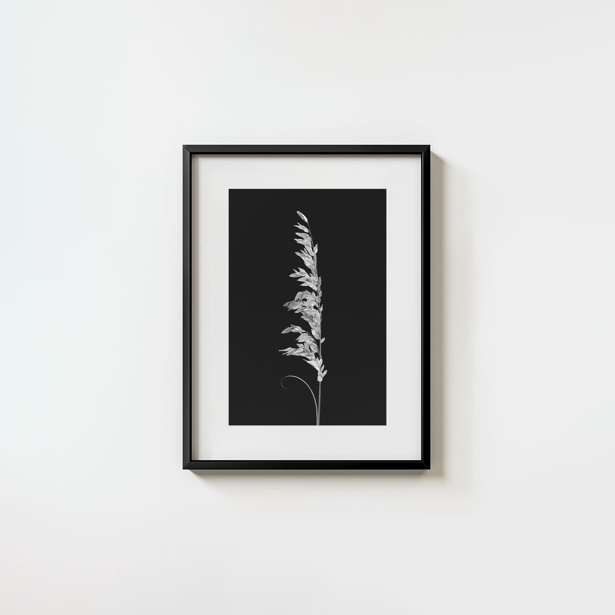 Wild Grain