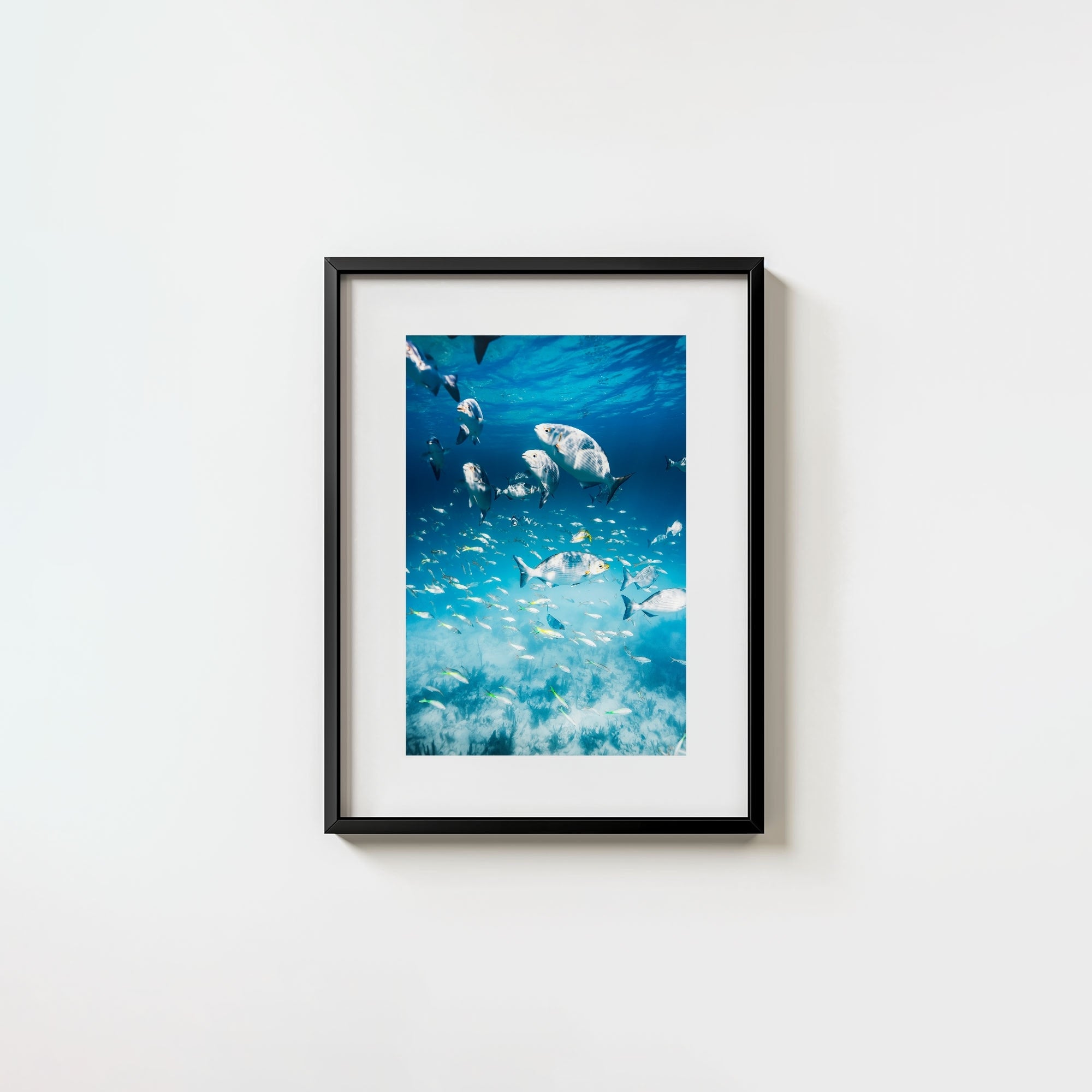 Colorful Current