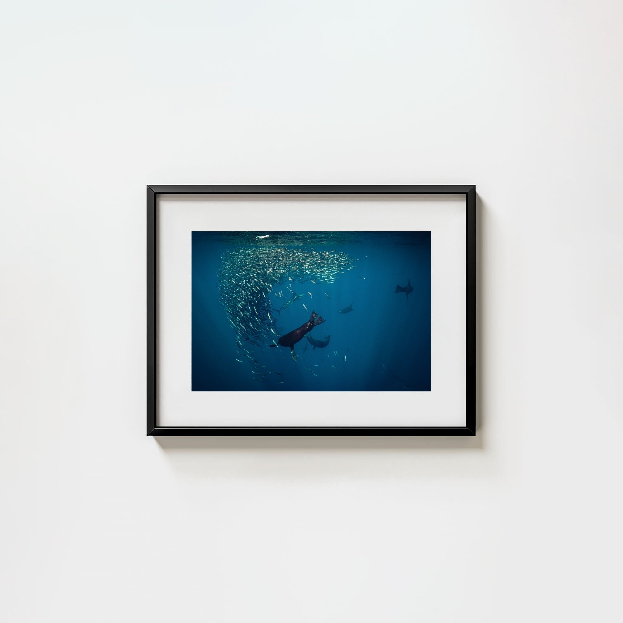 Mag Bay Tango: The Lion & The Spear