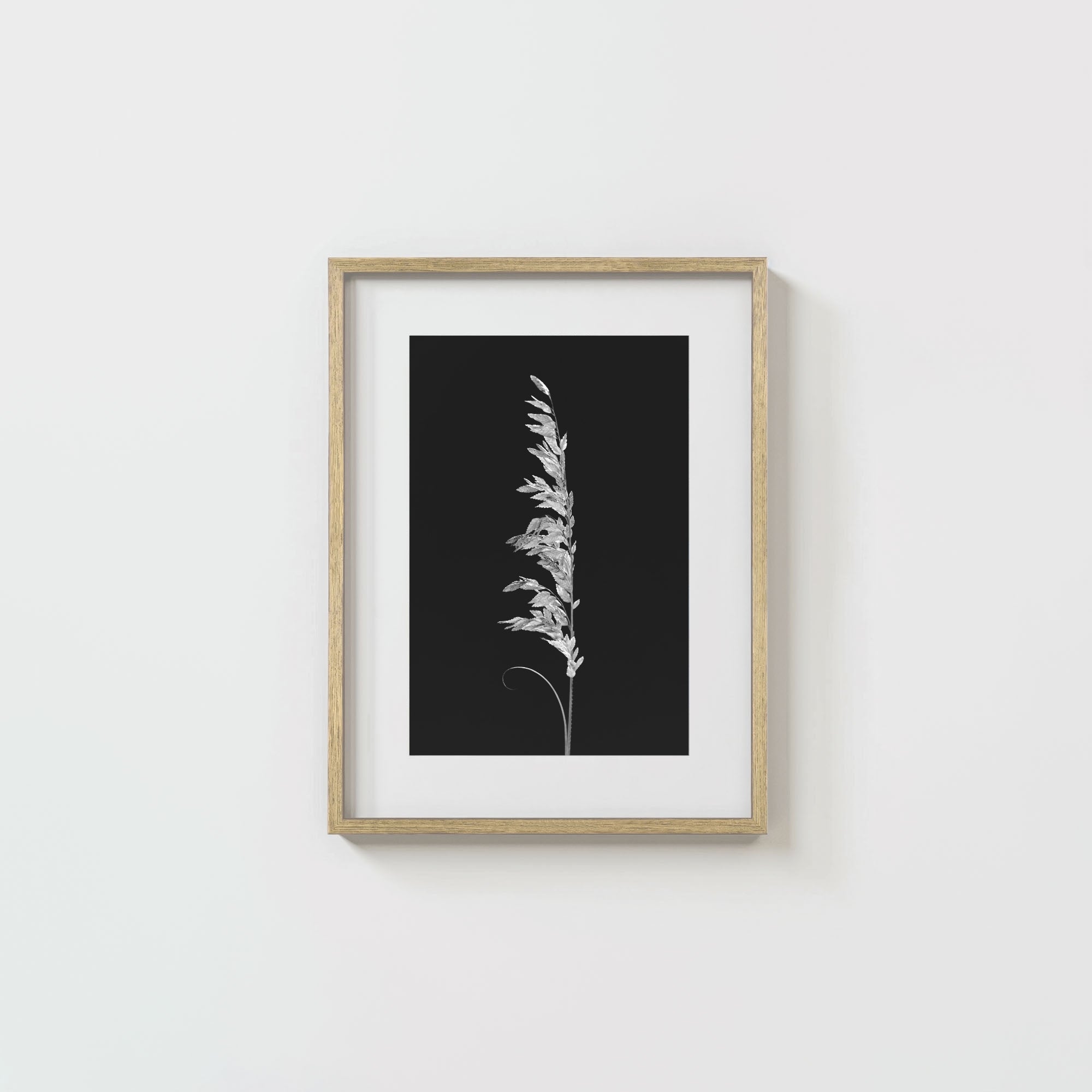 Wild Grain