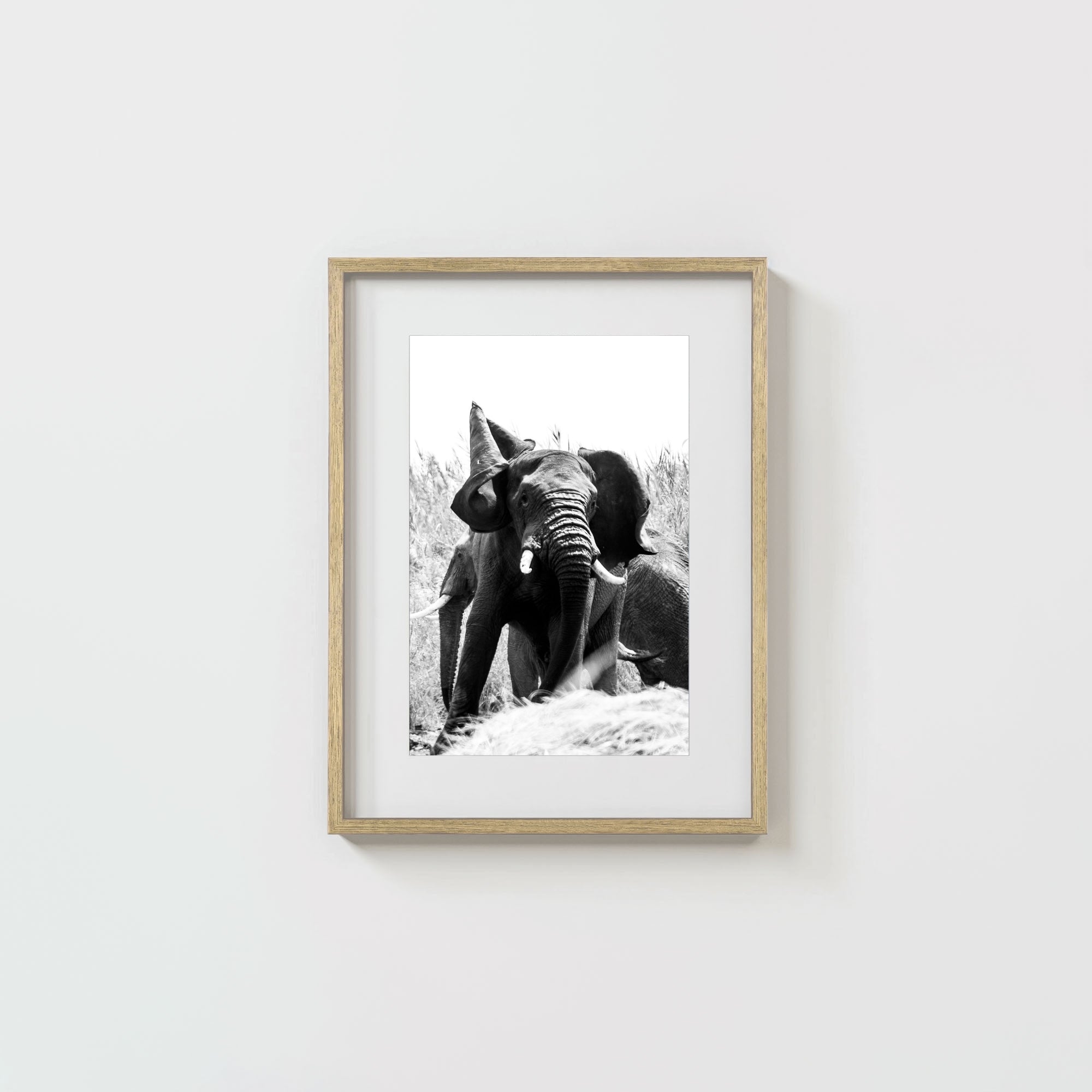 Tembo