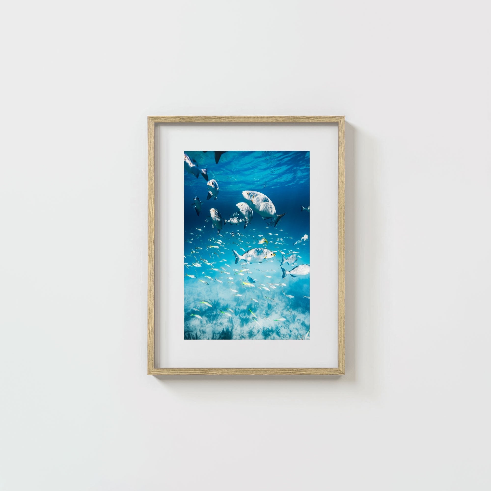 Colorful Current