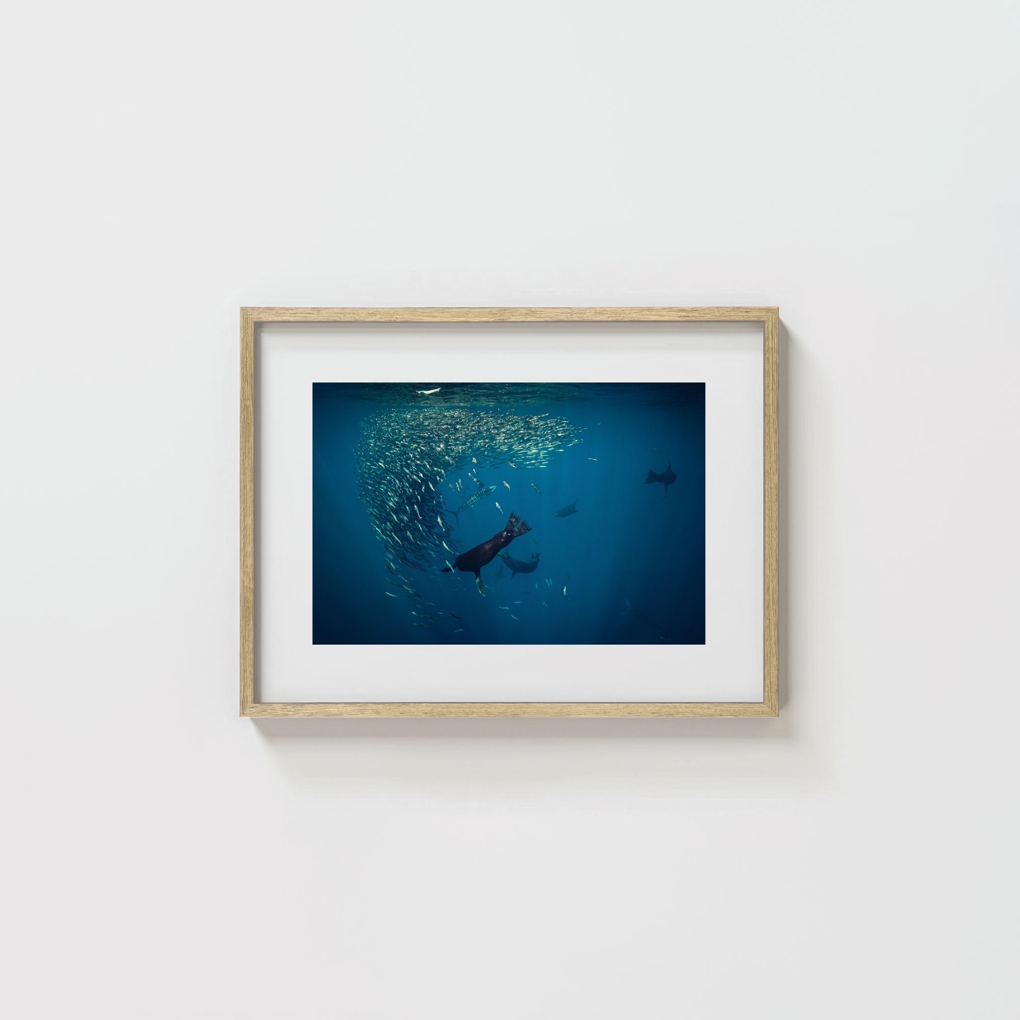 Mag Bay Tango: The Lion & The Spear