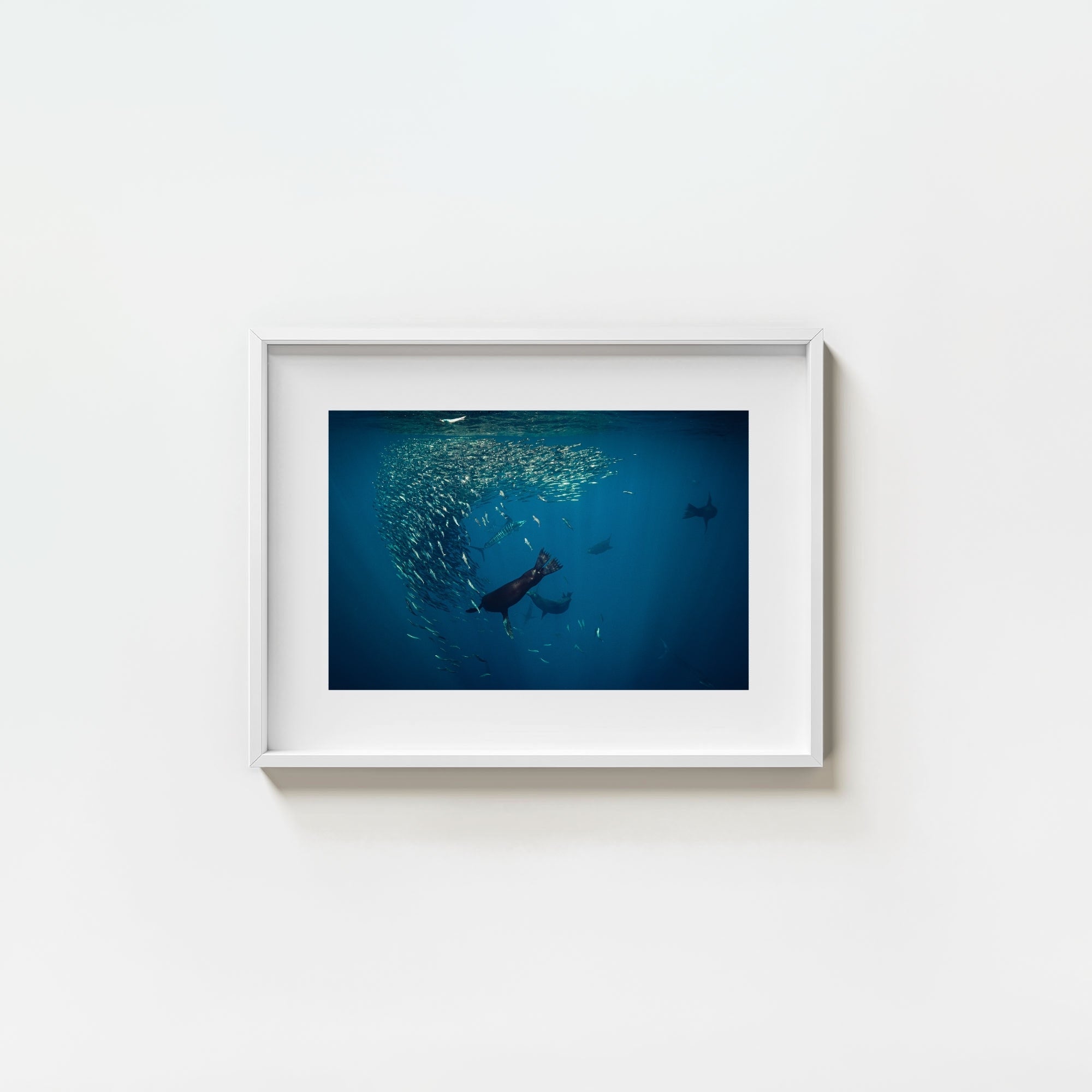 Mag Bay Tango: The Lion & The Spear