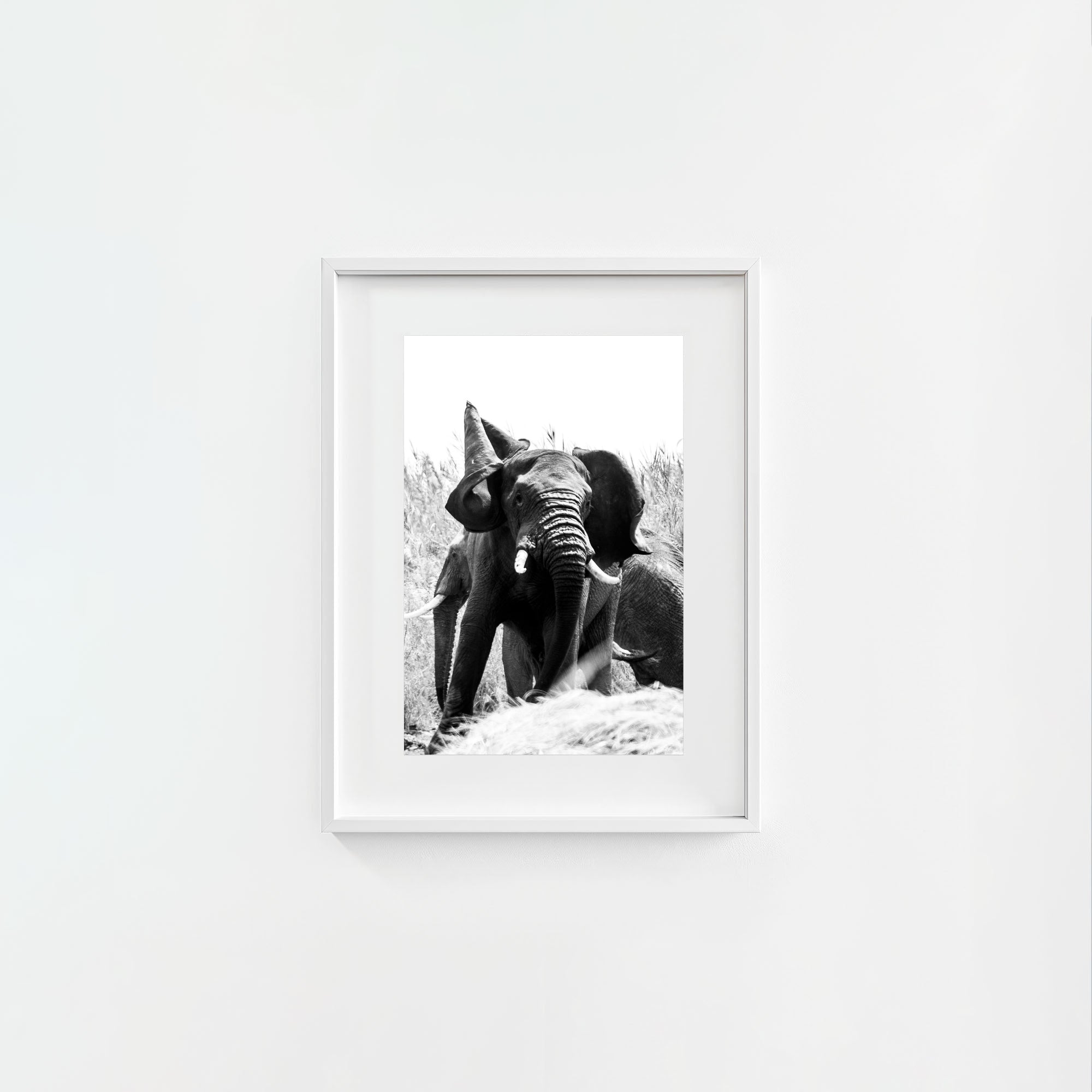 Tembo