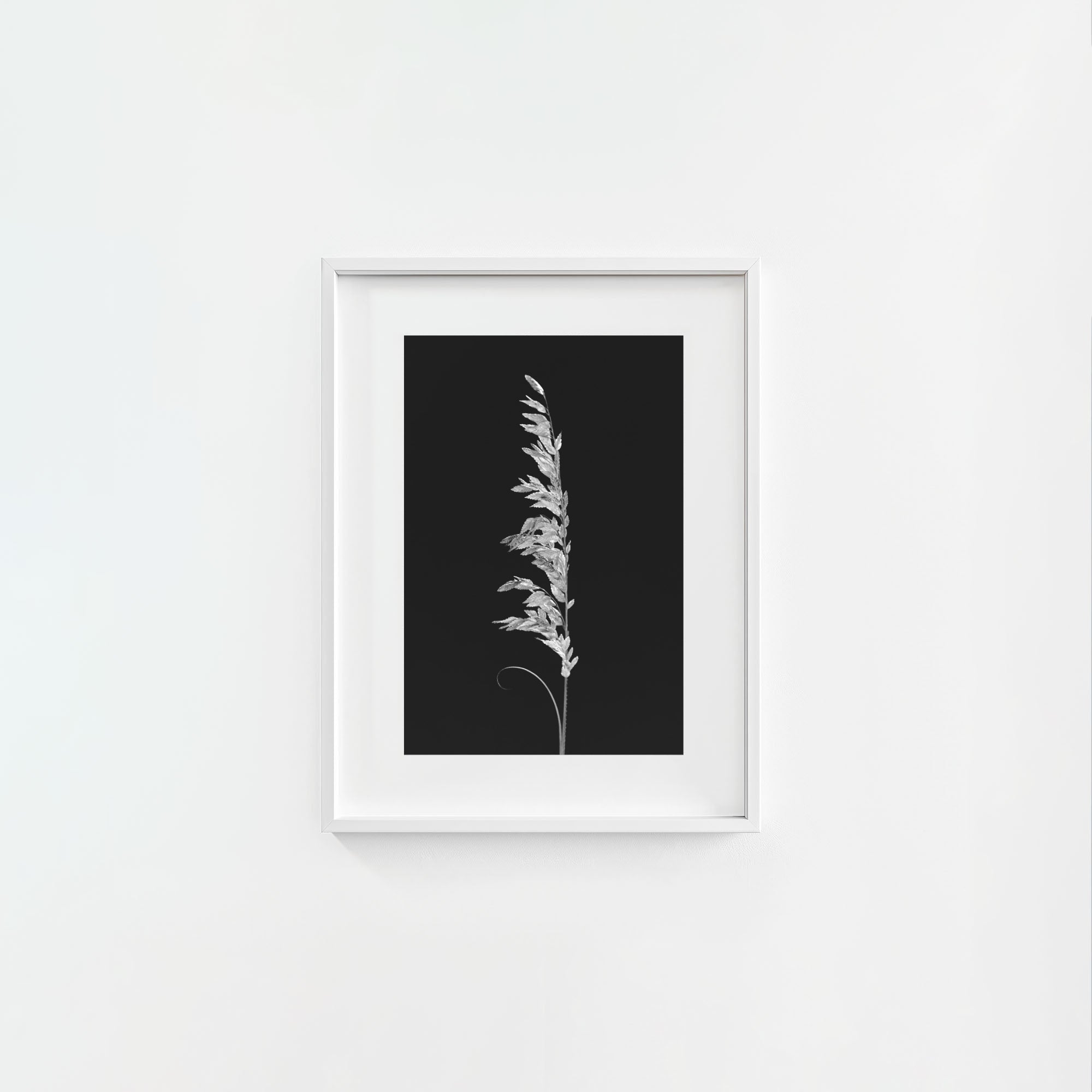 Wild Grain