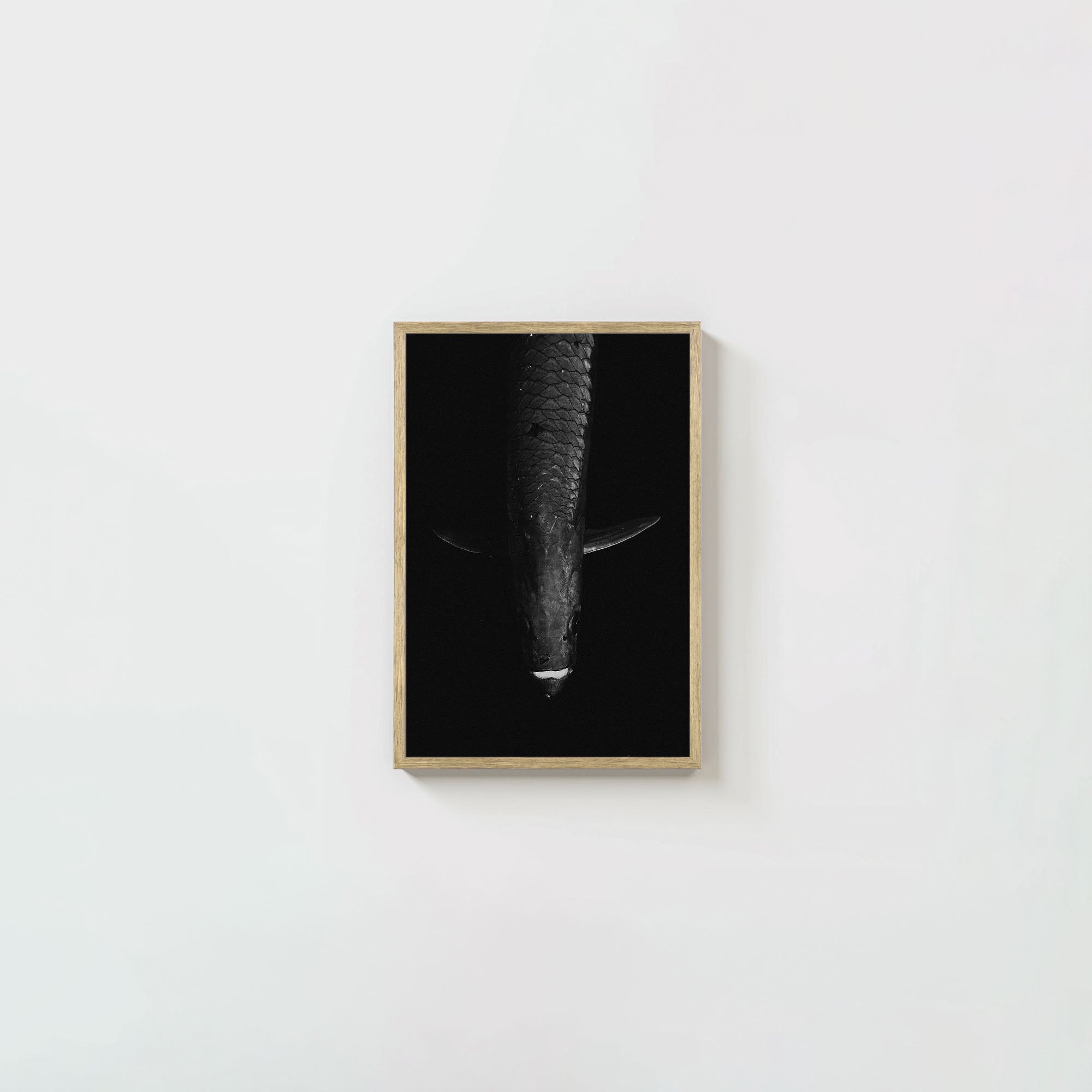 Tarpon: 'Dark Side Of The King' (6 Left!)