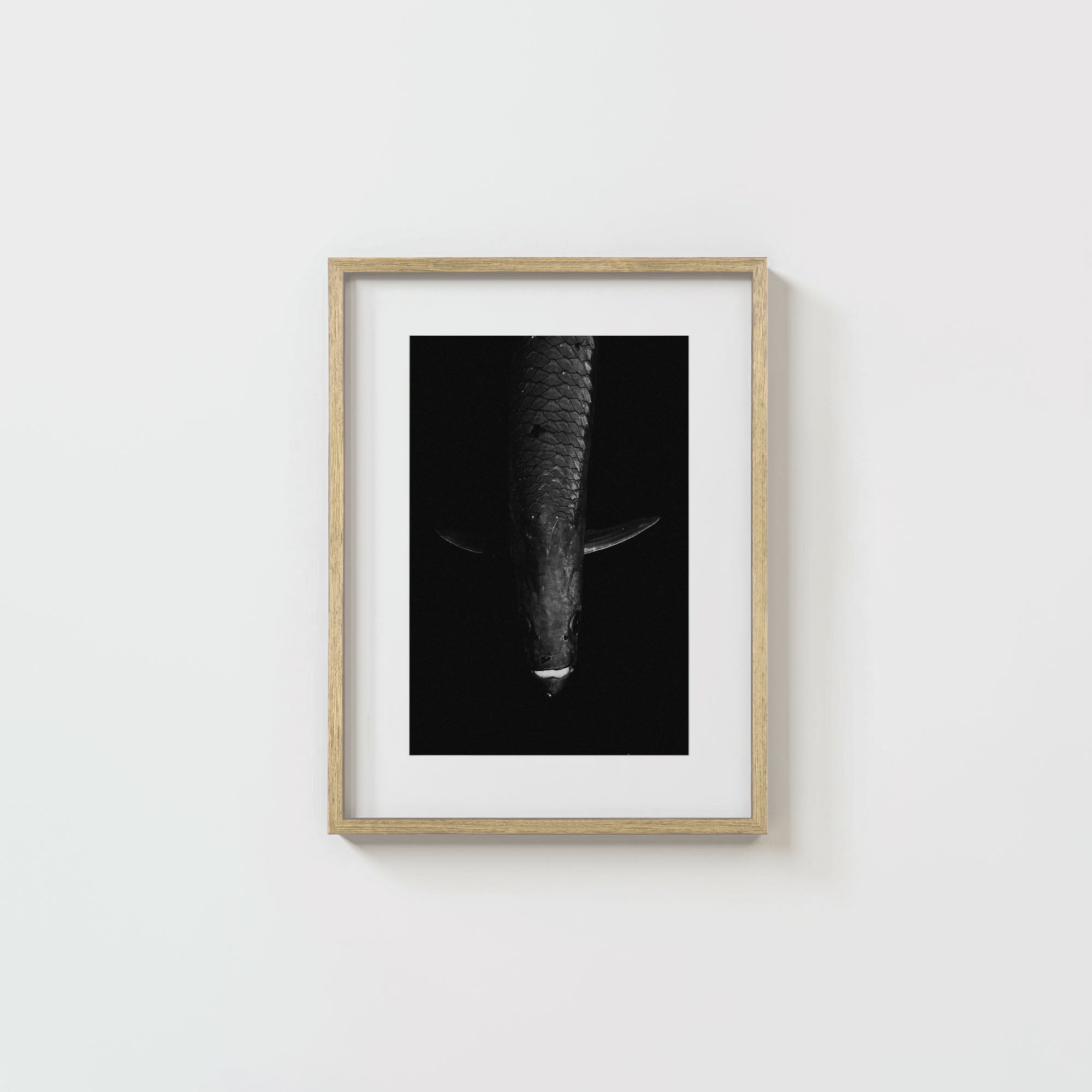 Tarpon: 'Dark Side Of The King' (6 Left!)