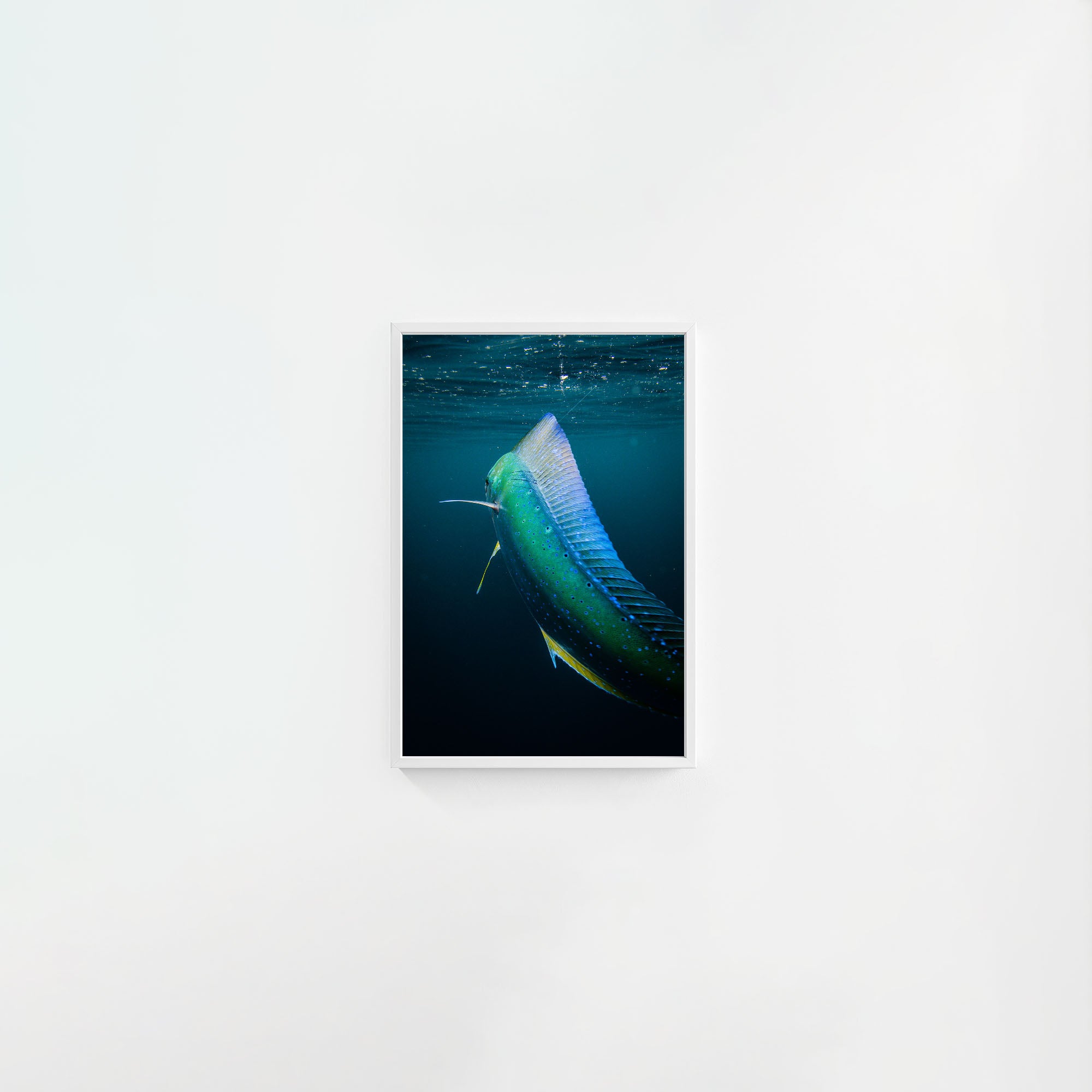 Neon Taco