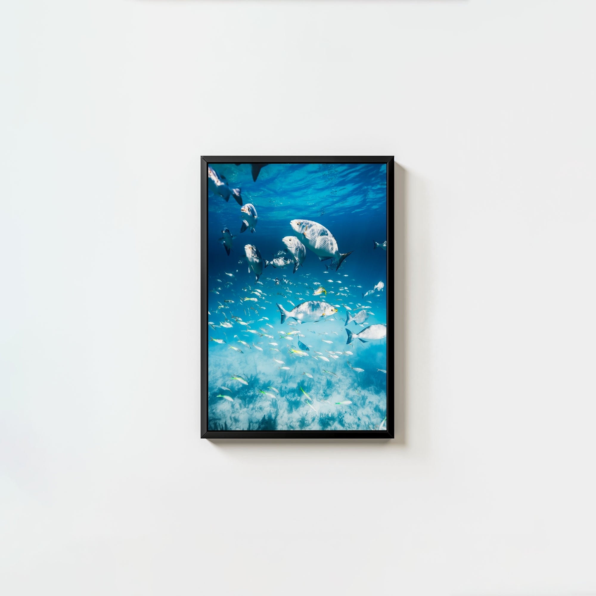 Colorful Current