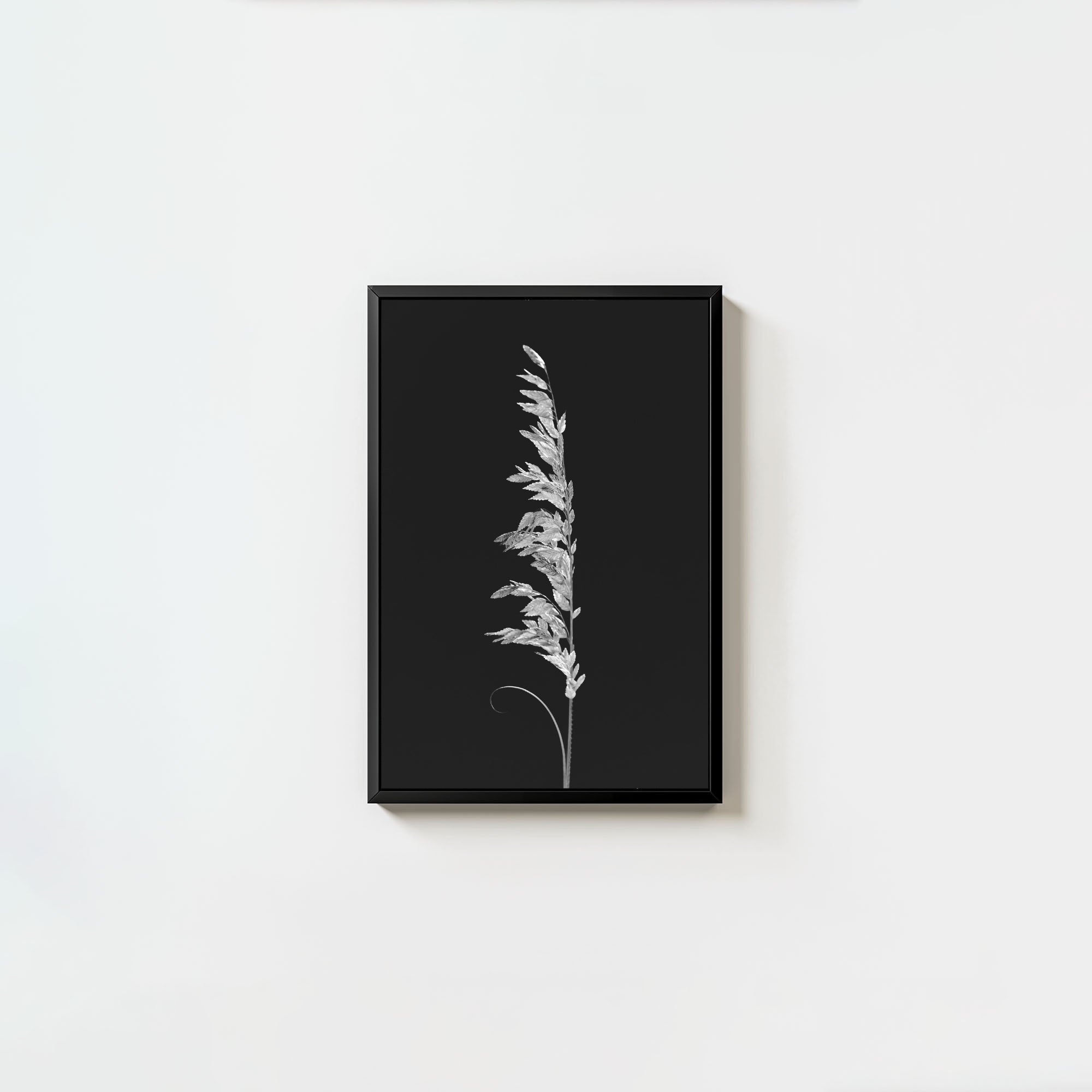 Wild Grain