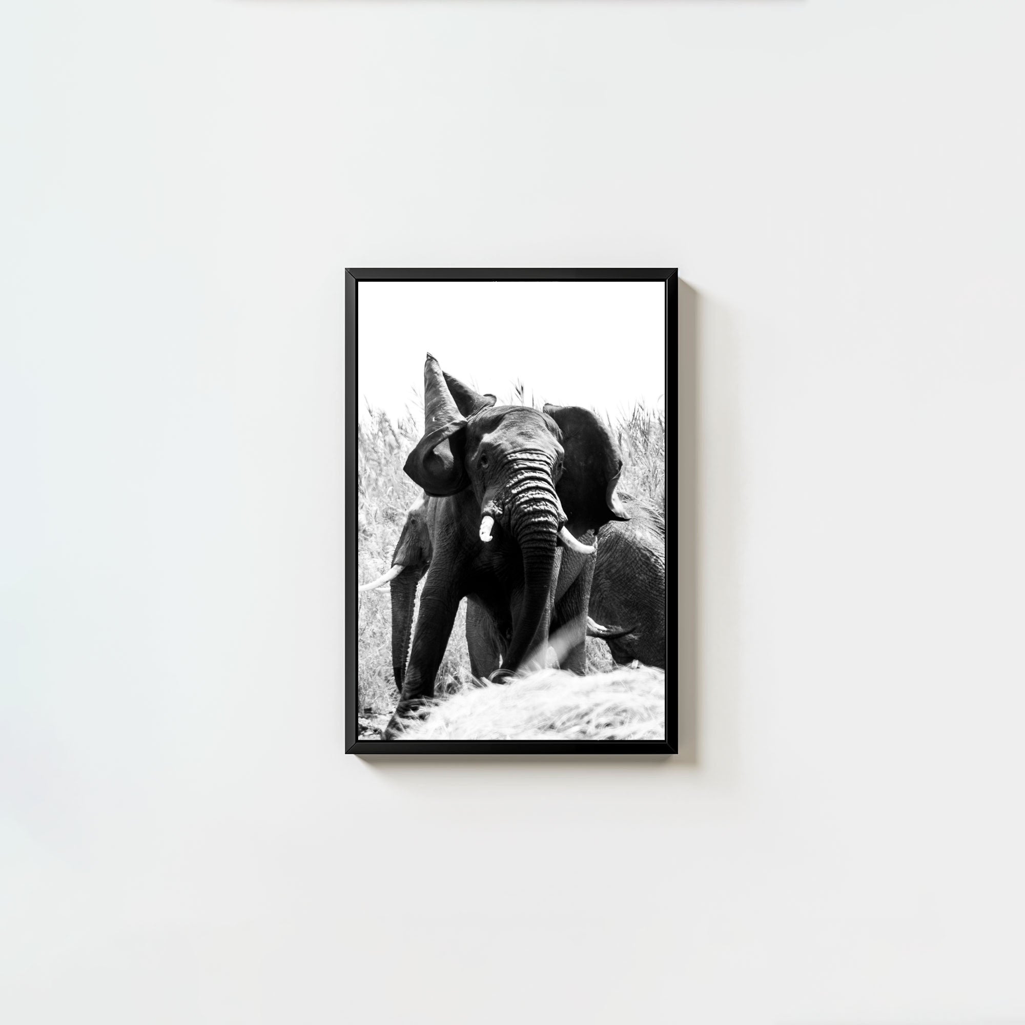 Tembo