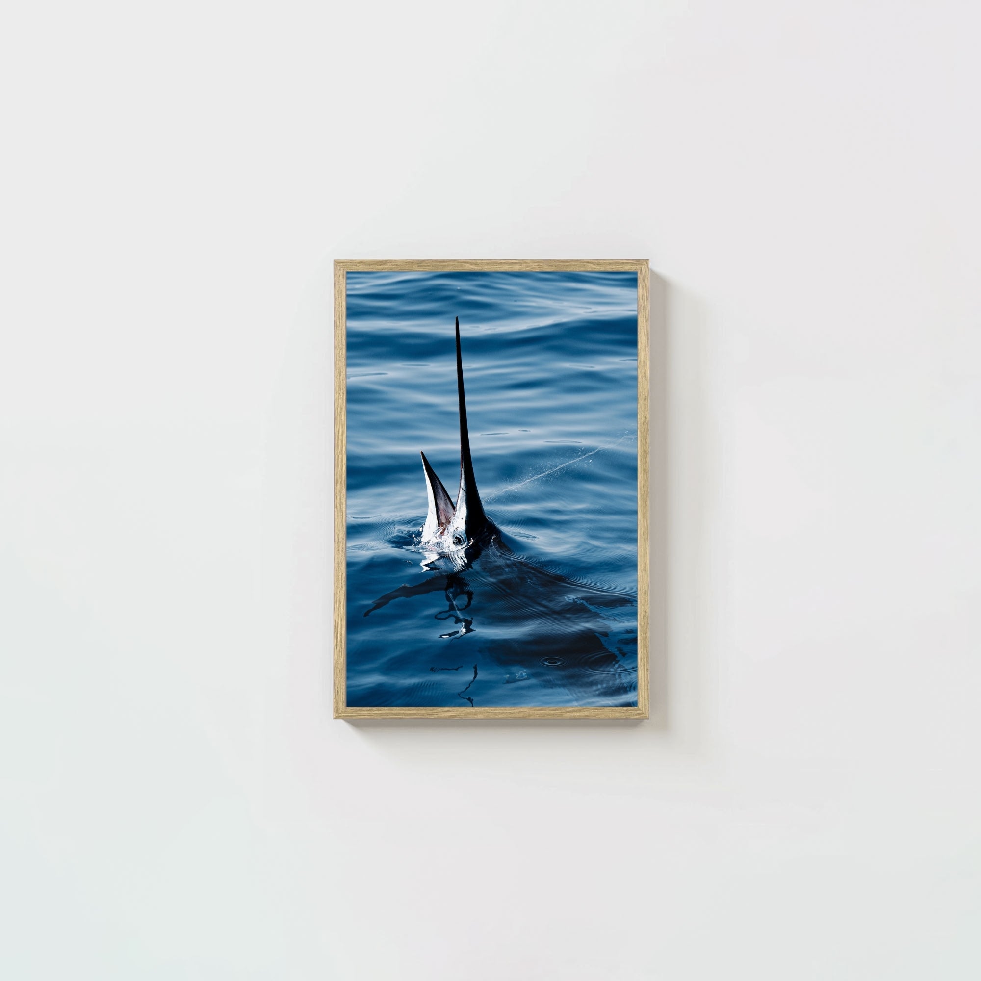Sail Bite