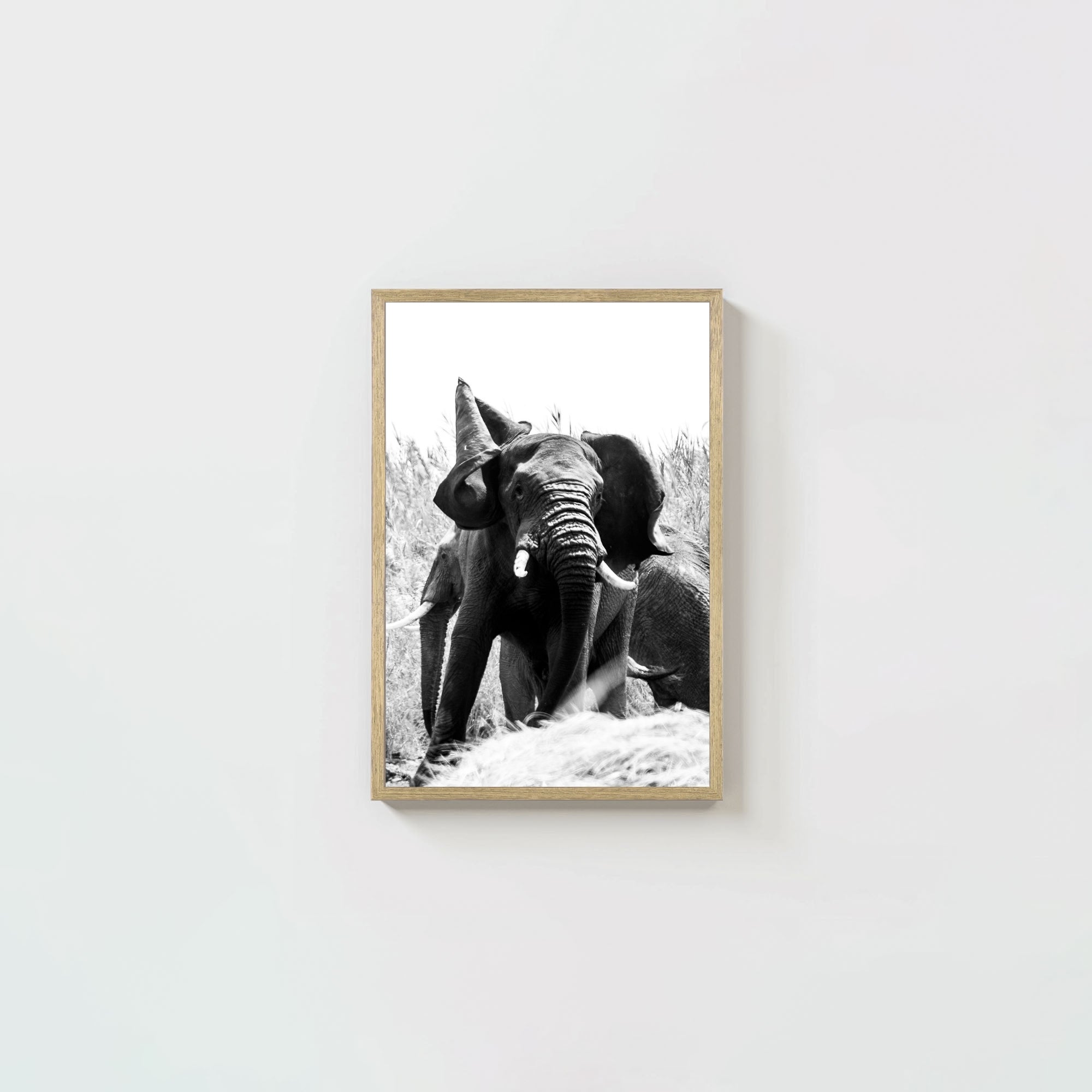Tembo