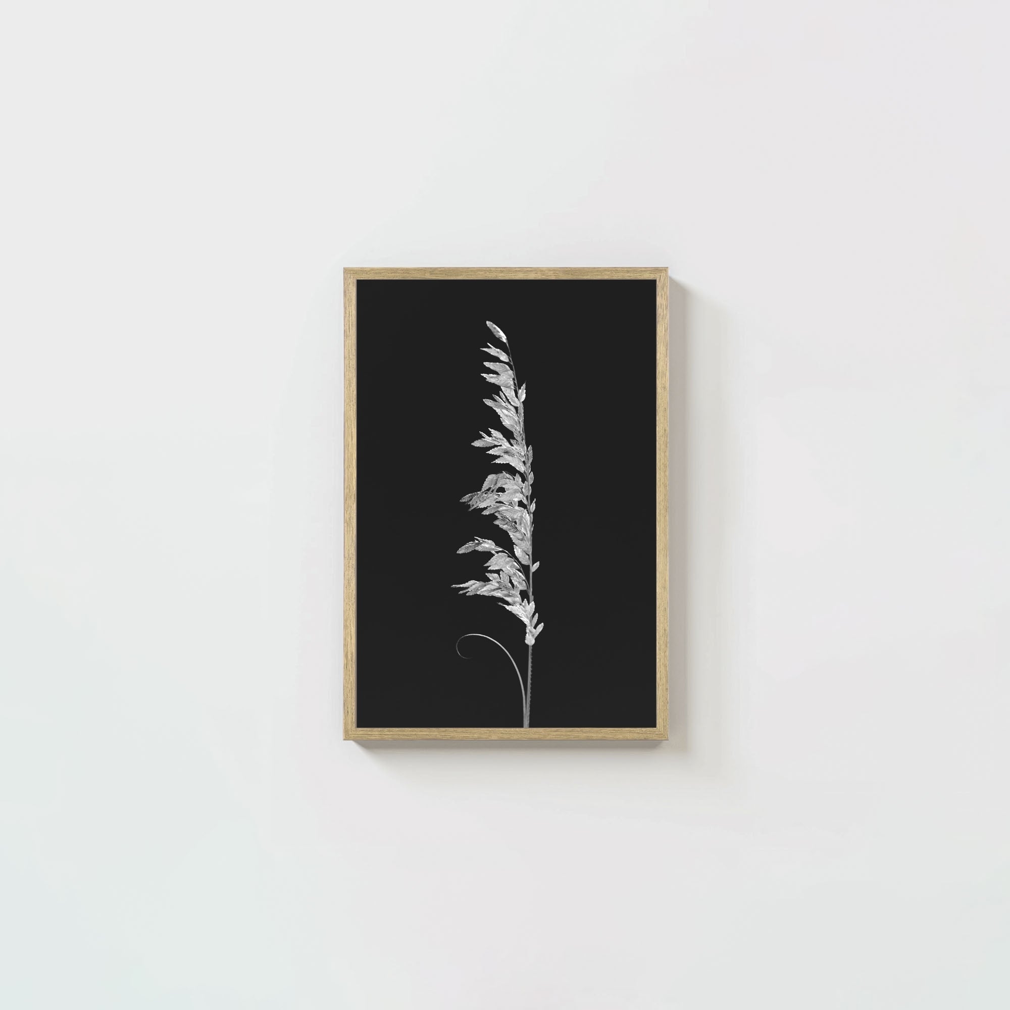 Wild Grain