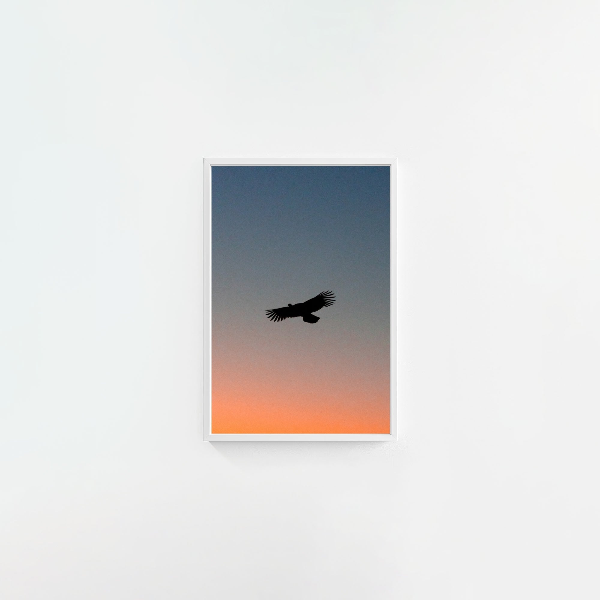 To The Roost