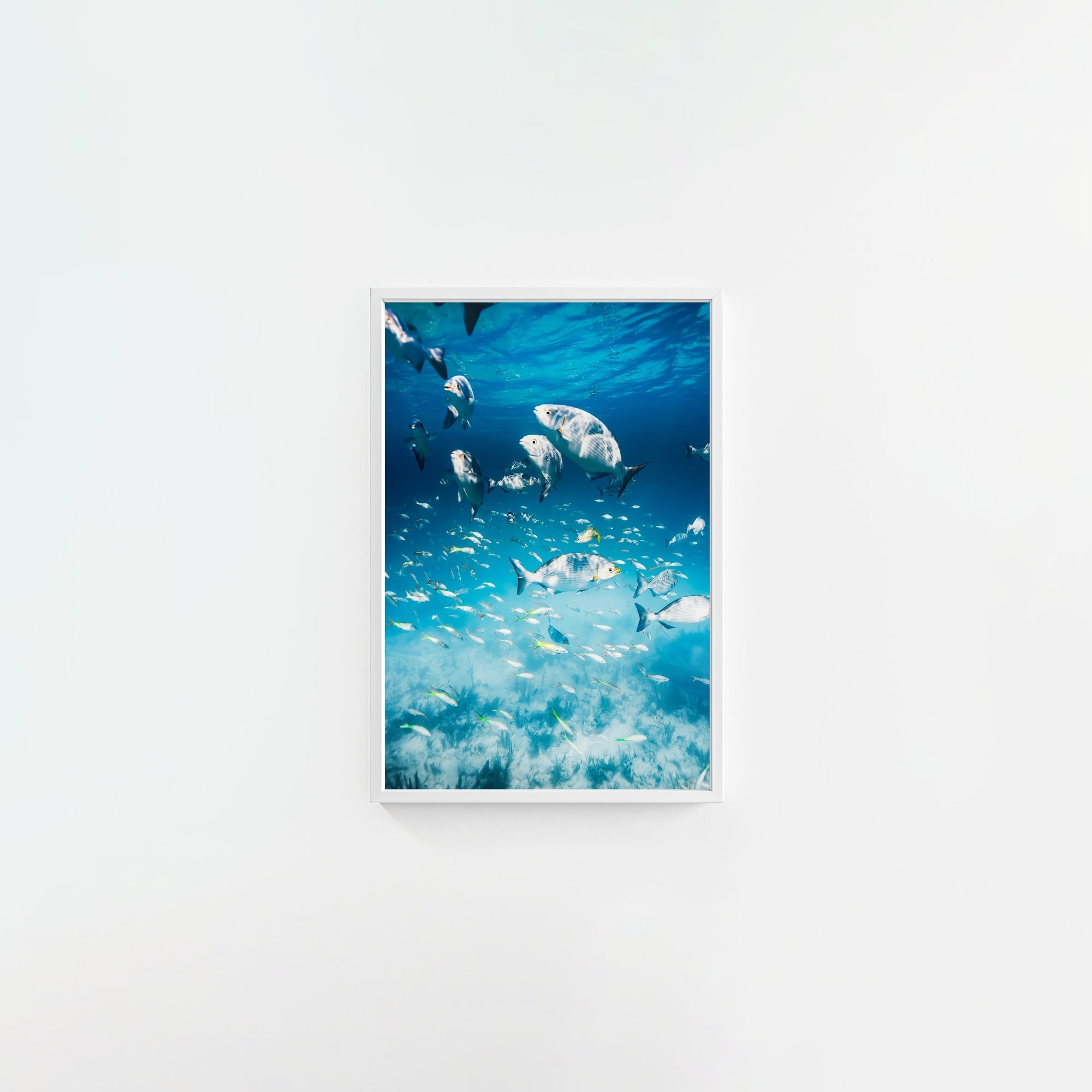 Colorful Current